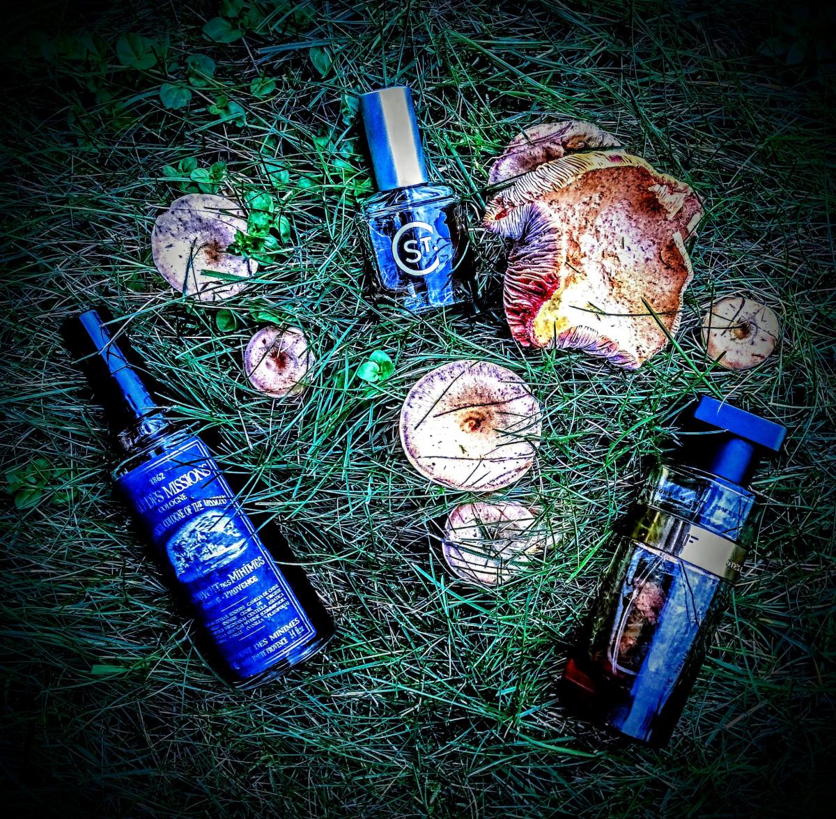 Field Notes From Paris Ineke perfume a fragrance for women and men 2009