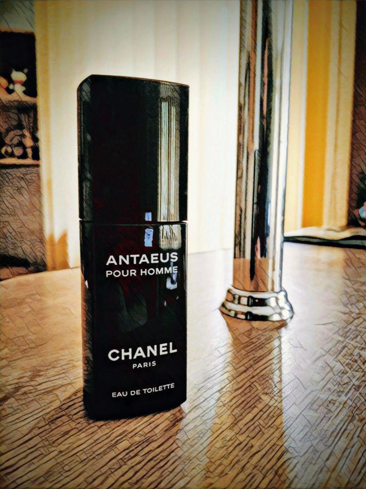 Antaeus Chanel cologne a fragrance for men 1981
