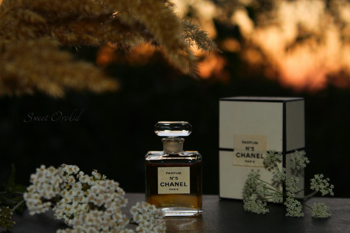 Chanel No 5 Parfum Chanel perfume - a fragrance for women 1921