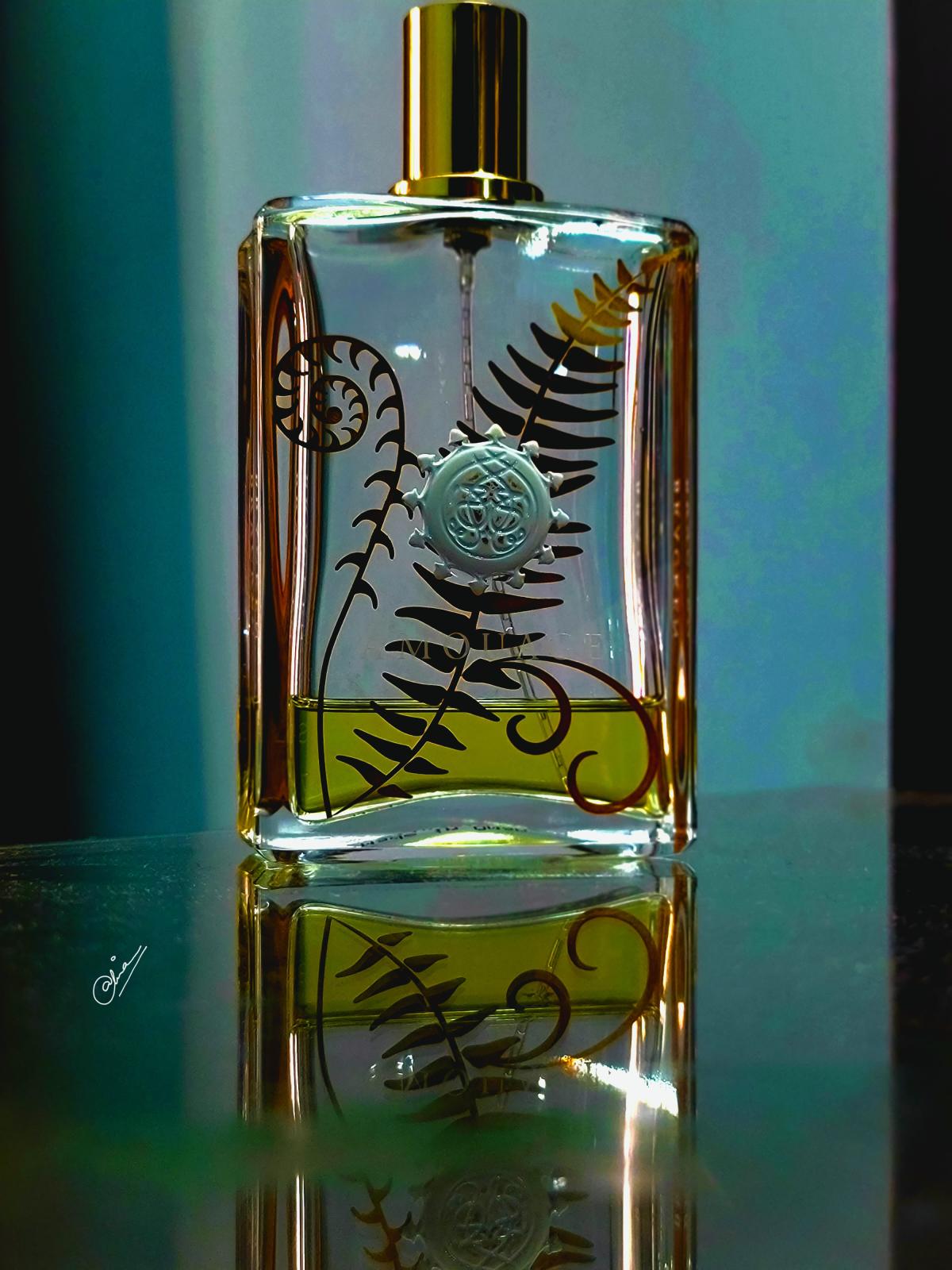 Bracken Man Amouage cologne - a fragrance for men 2016