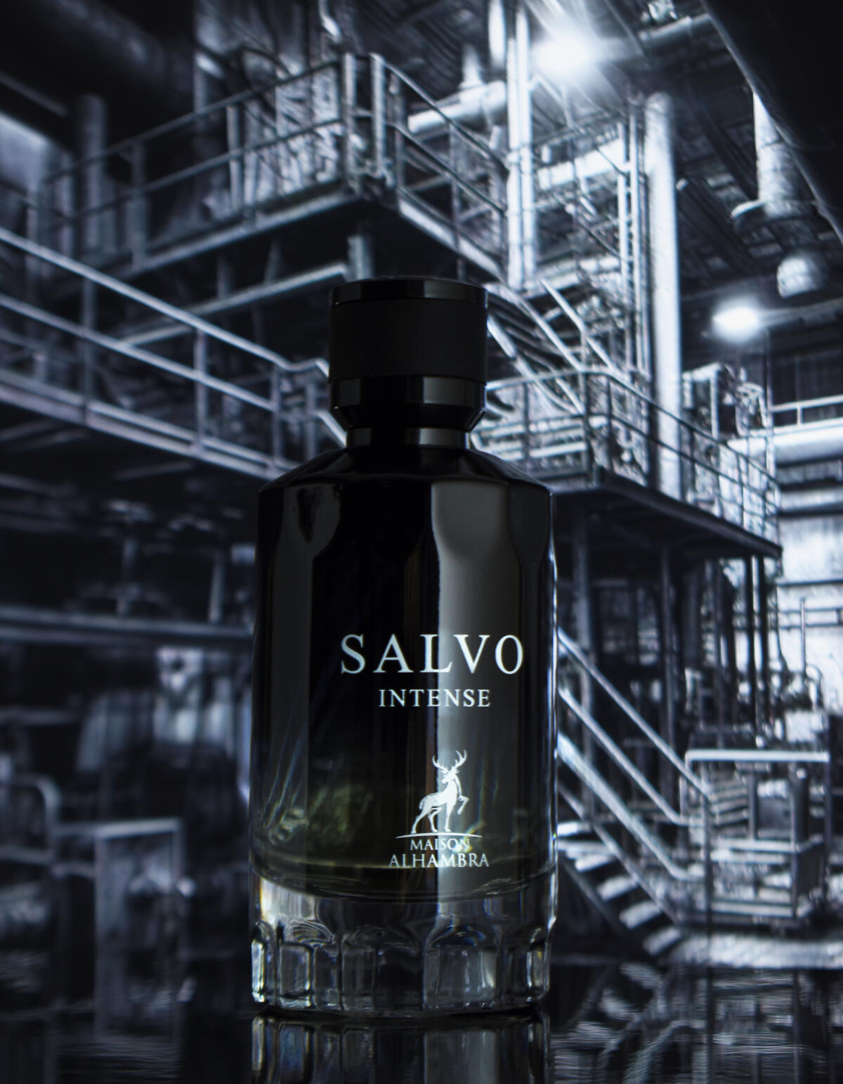 Salvo Maison Alhambra cologne - a fragrance for men 2022