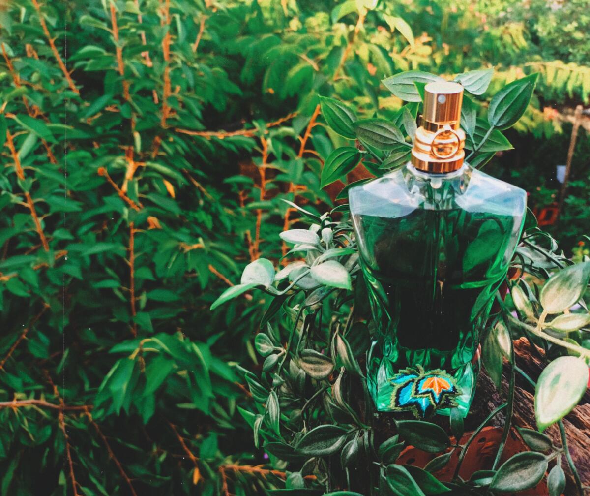 Le Beau Paradise Garden Jean Paul Gaultier cologne - a new fragrance ...