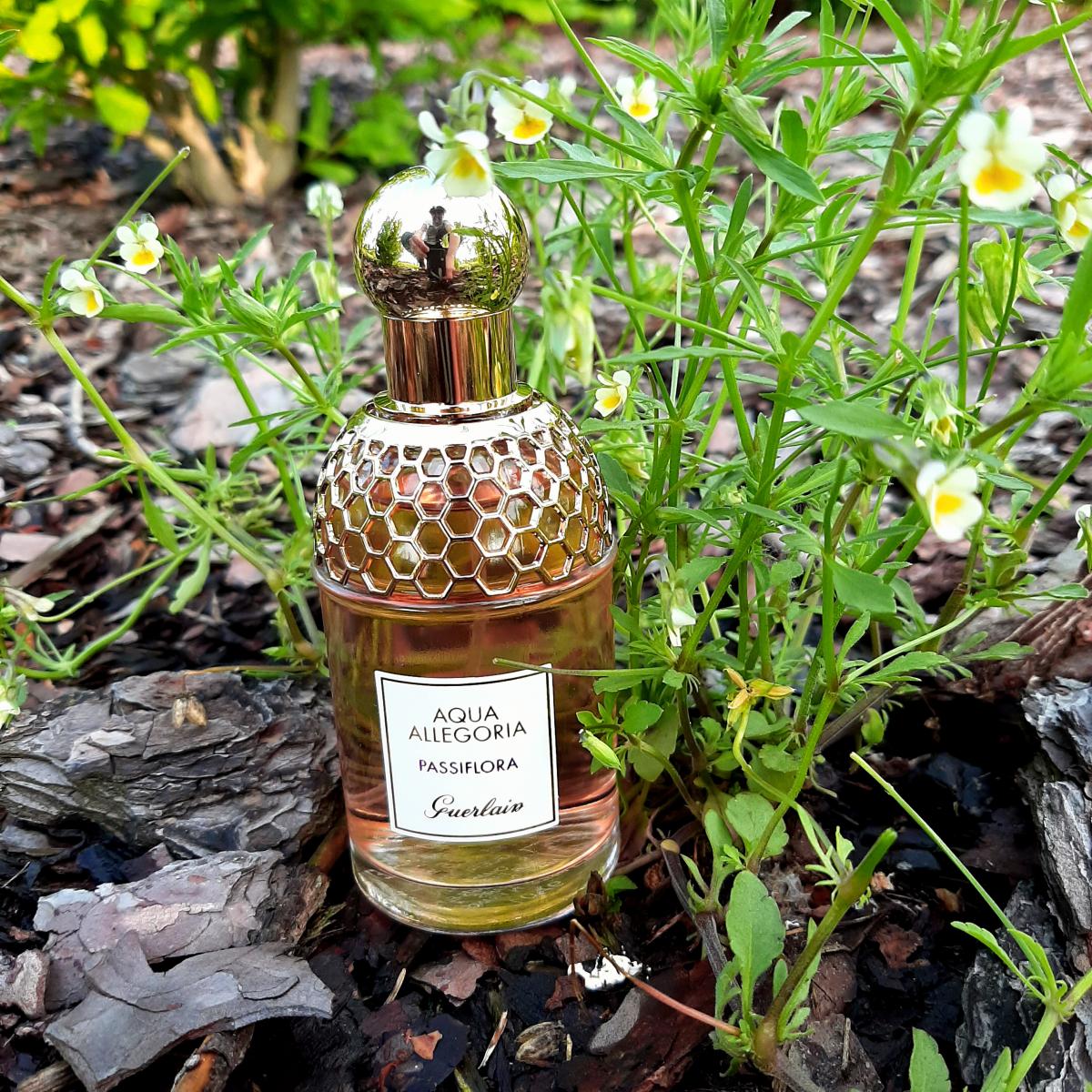 Аква аллегория пассифлора. Guerlain Passiflora. Аква аллегория пассифлора купить. Аква аллегория пассифлора описание аромата.