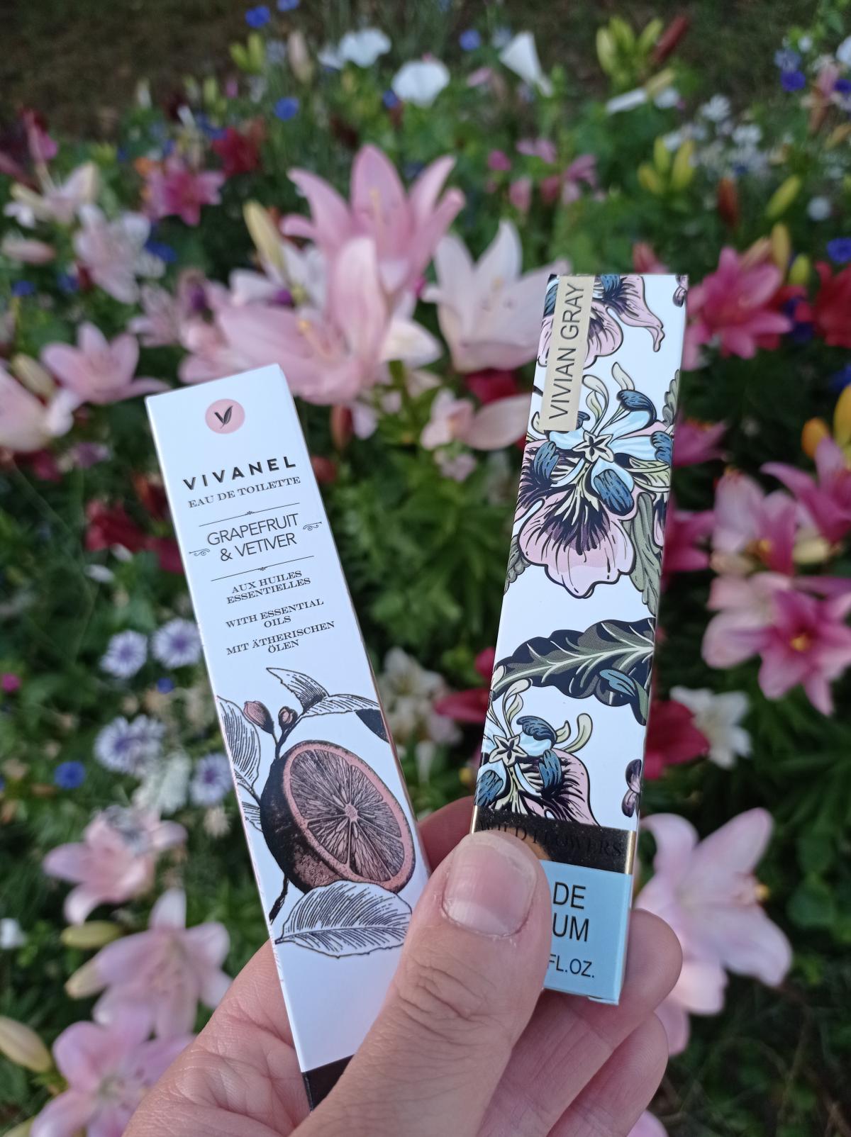 Vivian gray vivanel grapefruit & vetiver Clearance