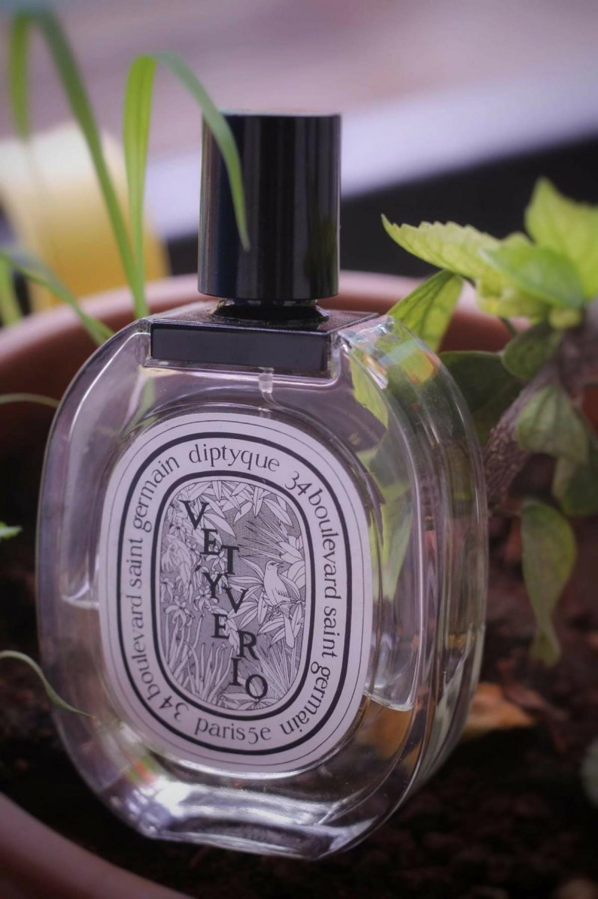 Vetyverio Eau de Toilette Diptyque perfume - a fragrance for women and ...