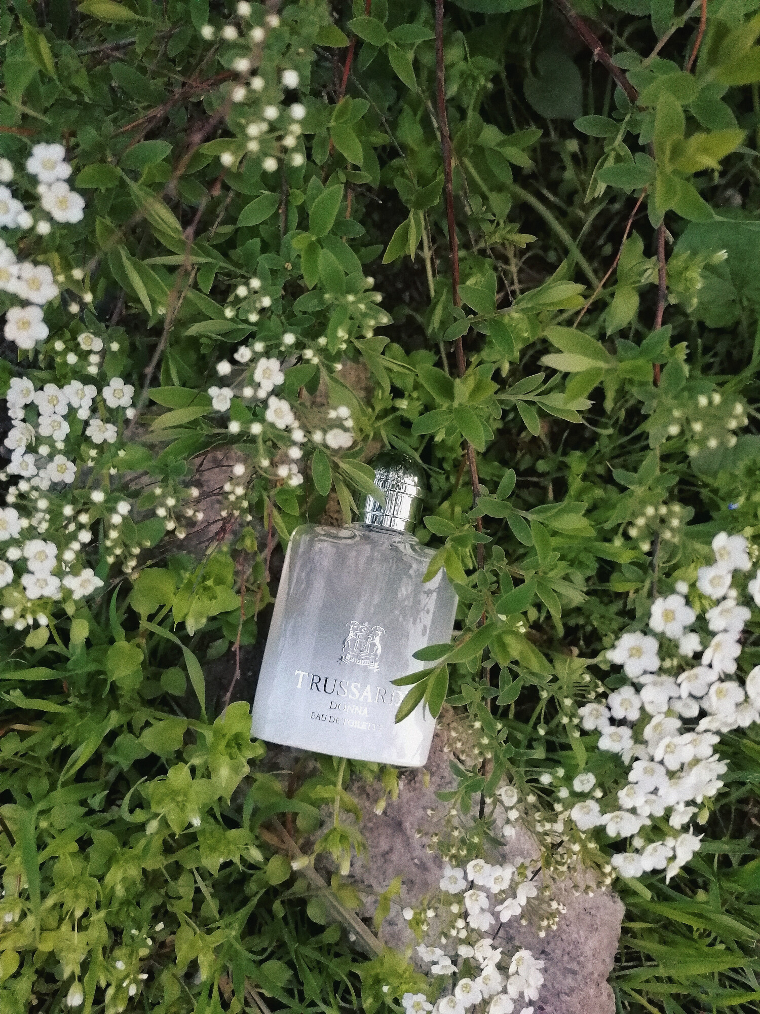 Women's Perfume Trussardi Donna Eau de Toilette main image 1