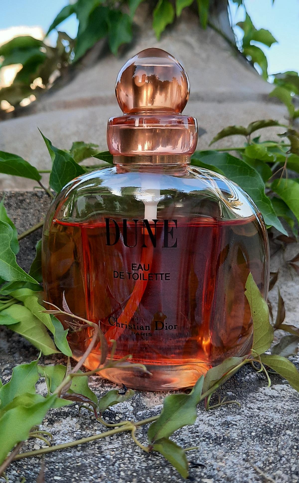 Dune Christian Dior perfume - a fragrance for women 1991