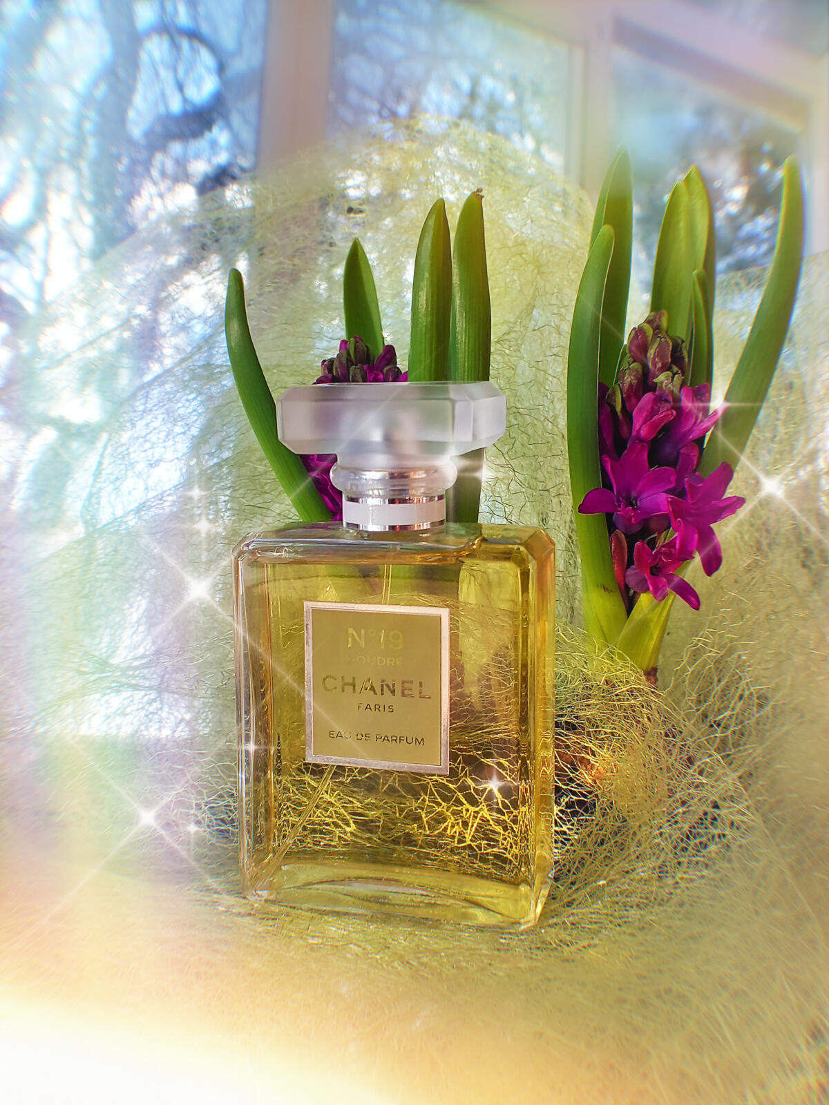 Chanel No 19 Poudre Chanel аромат — аромат для женщин 2011