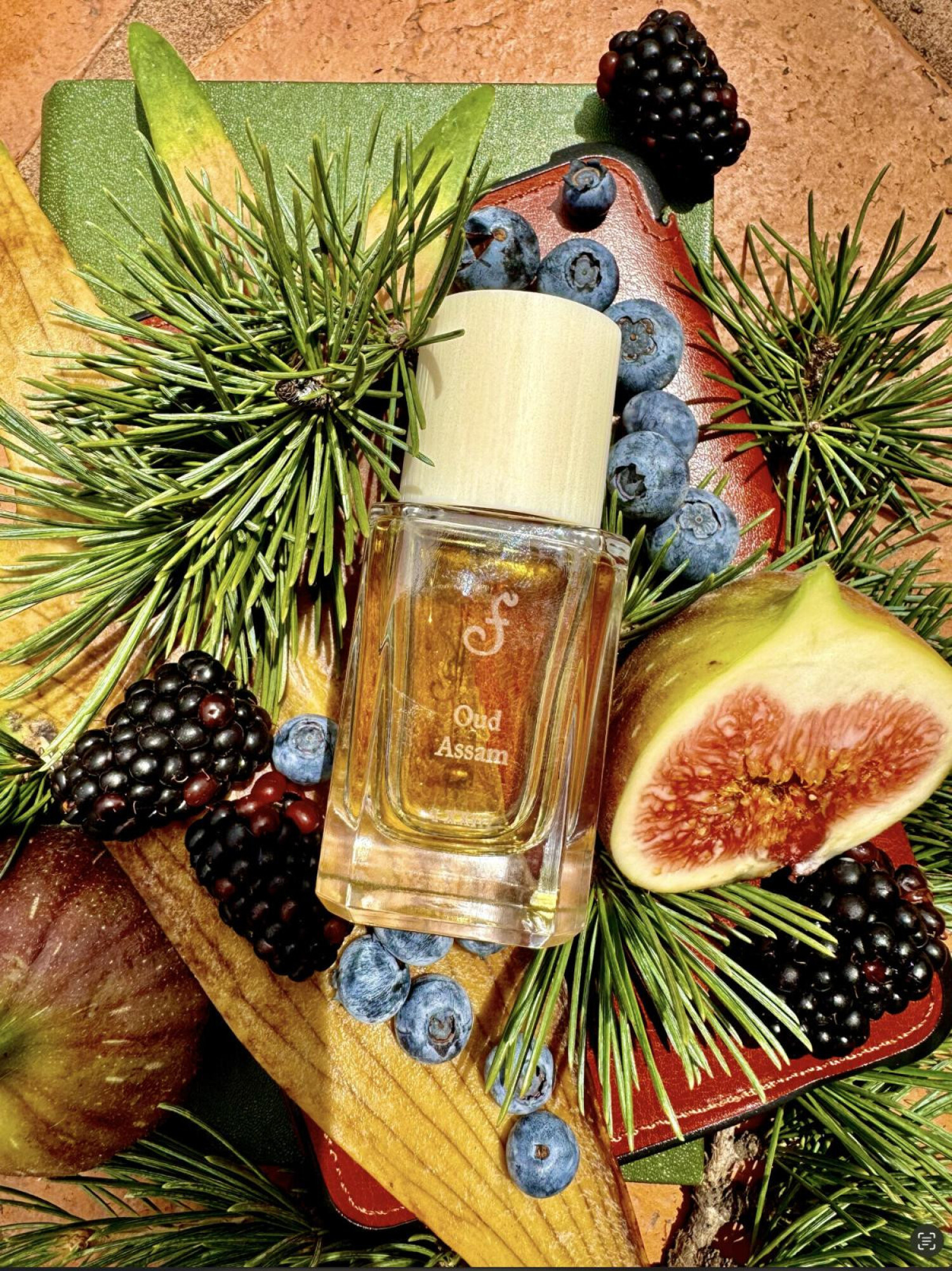 Aimal Notes Oud Assam Fueguia 1833 perfume - a fragrance for women and men 2022