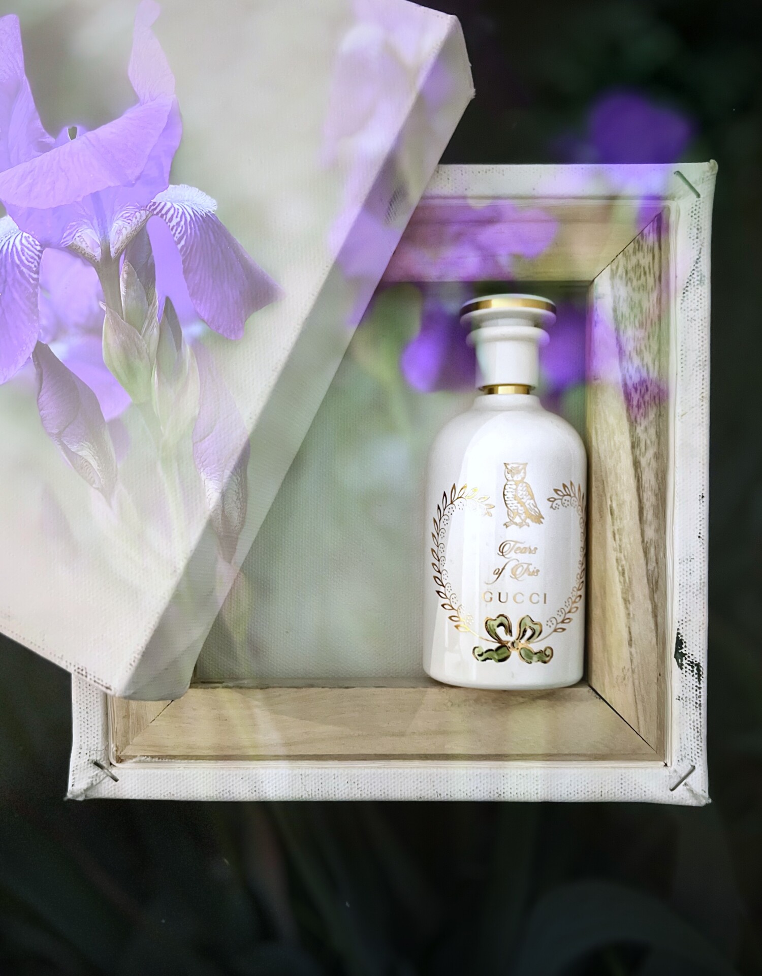 Gucci Tears Of Iris Cologne By Gucci for Men and Women main image 0