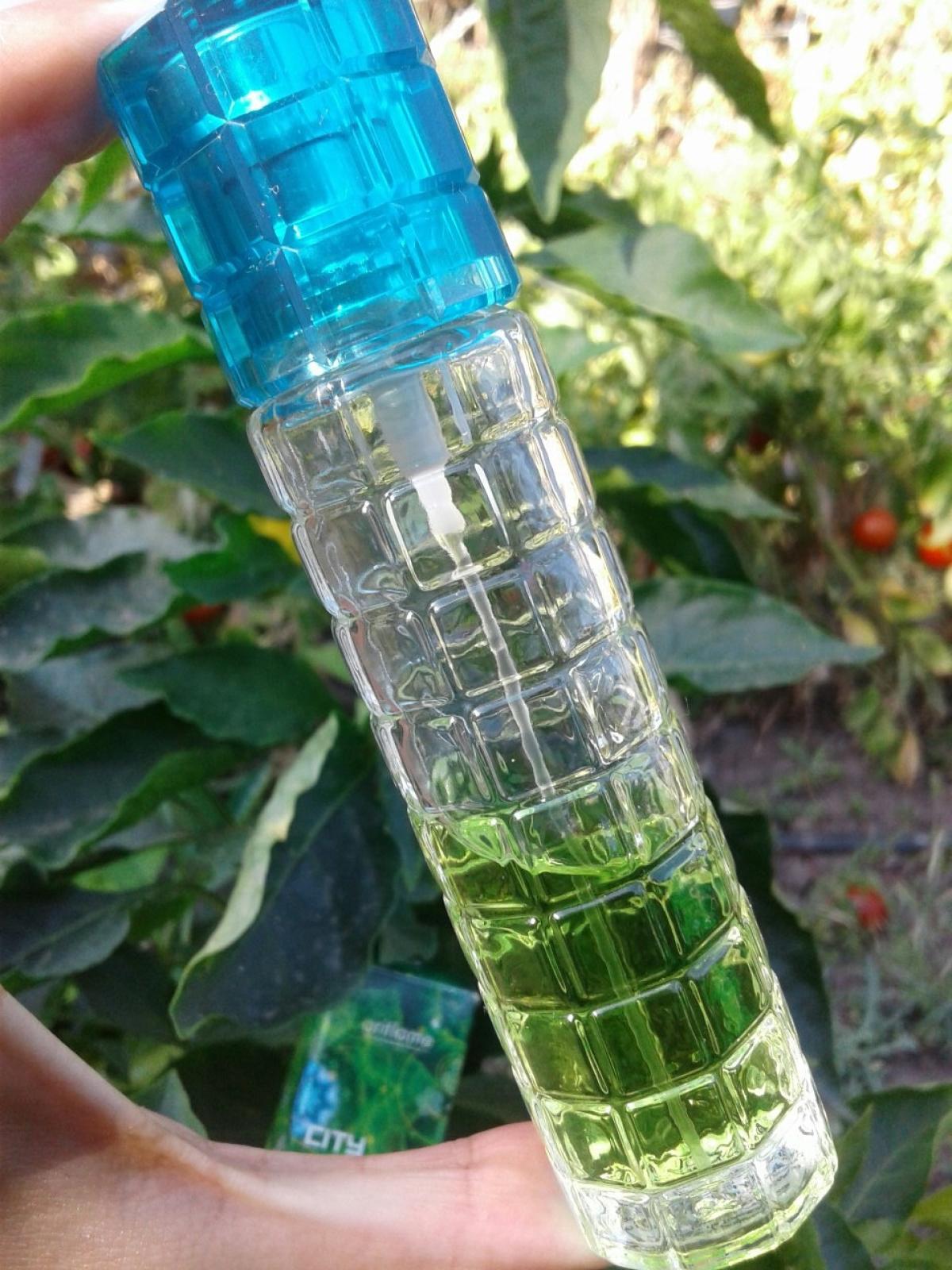City Jungle Oriflame perfume - a fragrance for women 2009