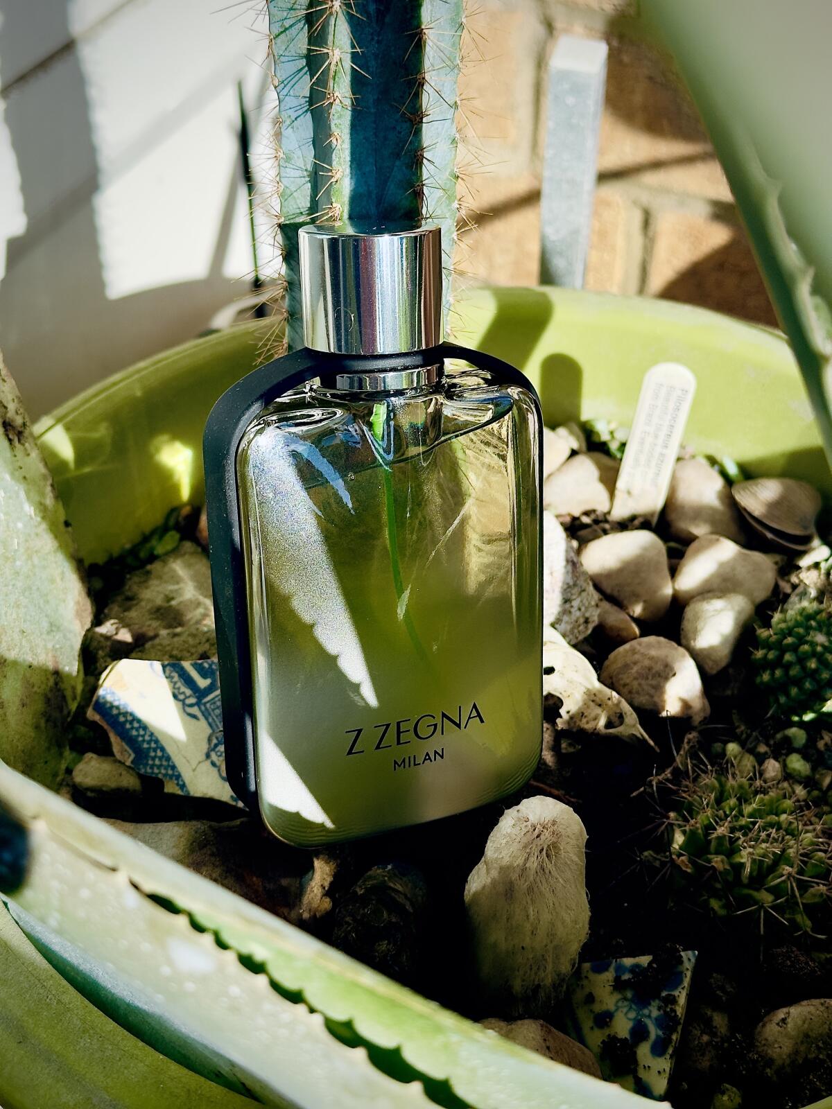 Z Zegna Milan Ermenegildo Zegna cologne - a fragrance for men 2016