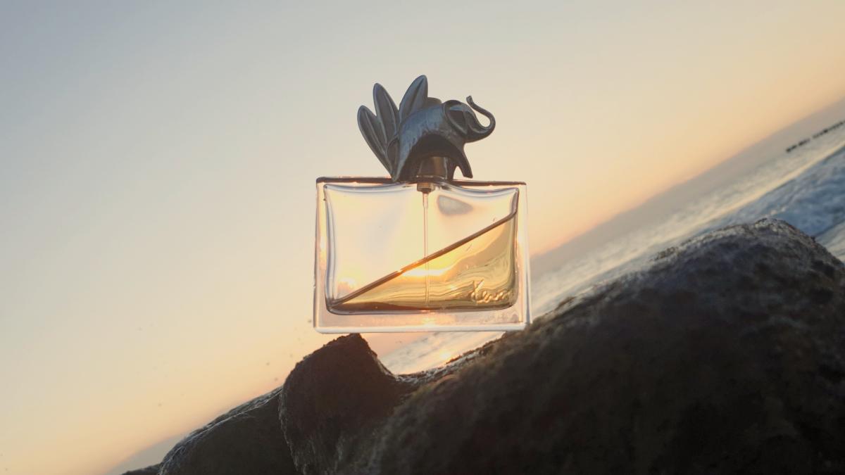 Kenzo Jungle L'Elephant Kenzo perfume a fragrance for women 1996