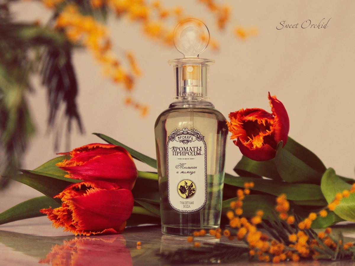 Тюльпан и мимоза - Tulip and Mimosa Brocard аромат — аромат для женщин 2018