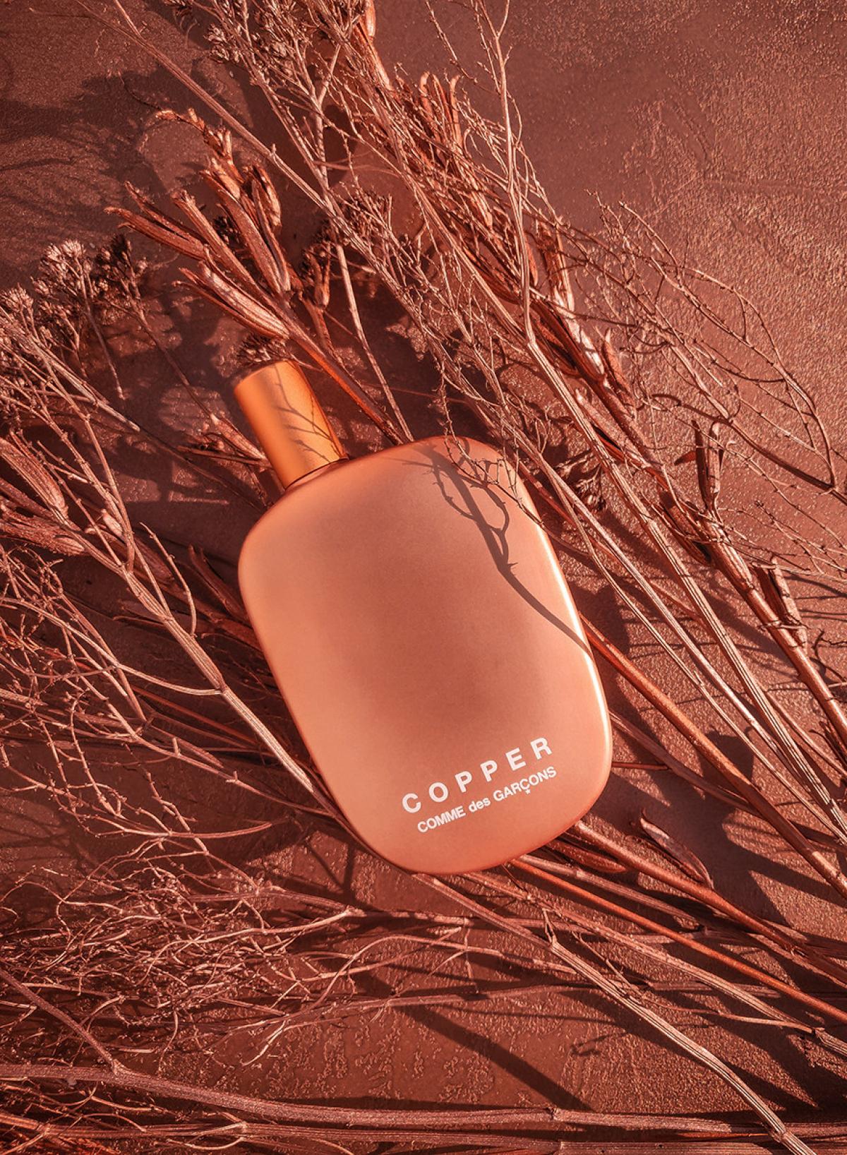 copper comme de garcons