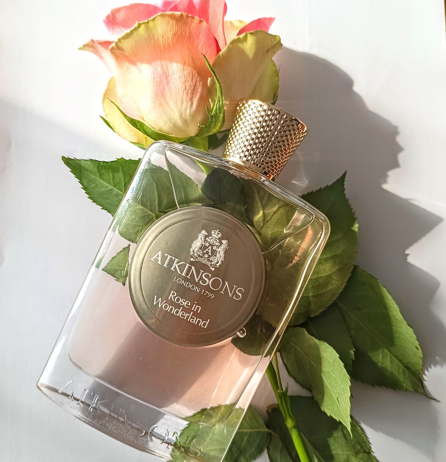 Atkinsons Rose In Wonderland Atkinsons Rose In Wonderland EDP