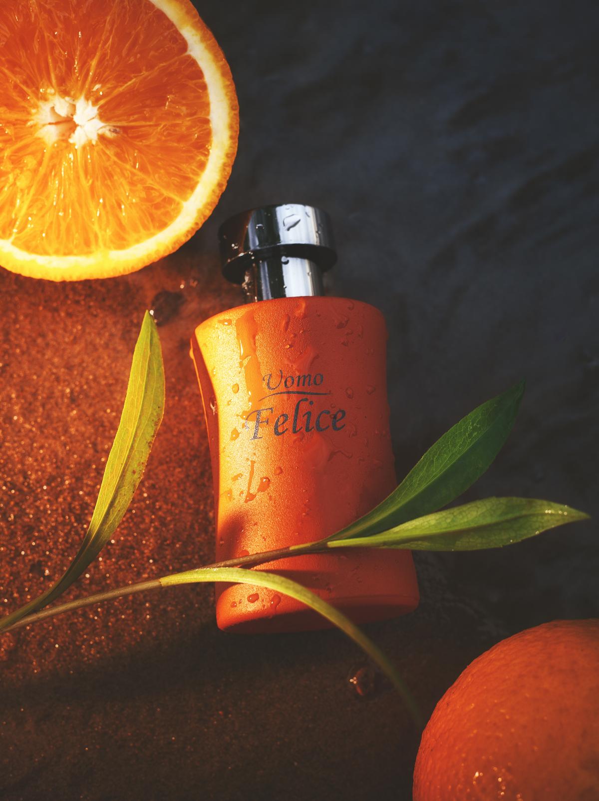 Uomo Felice Faberlic cologne - a fragrance for men 2008