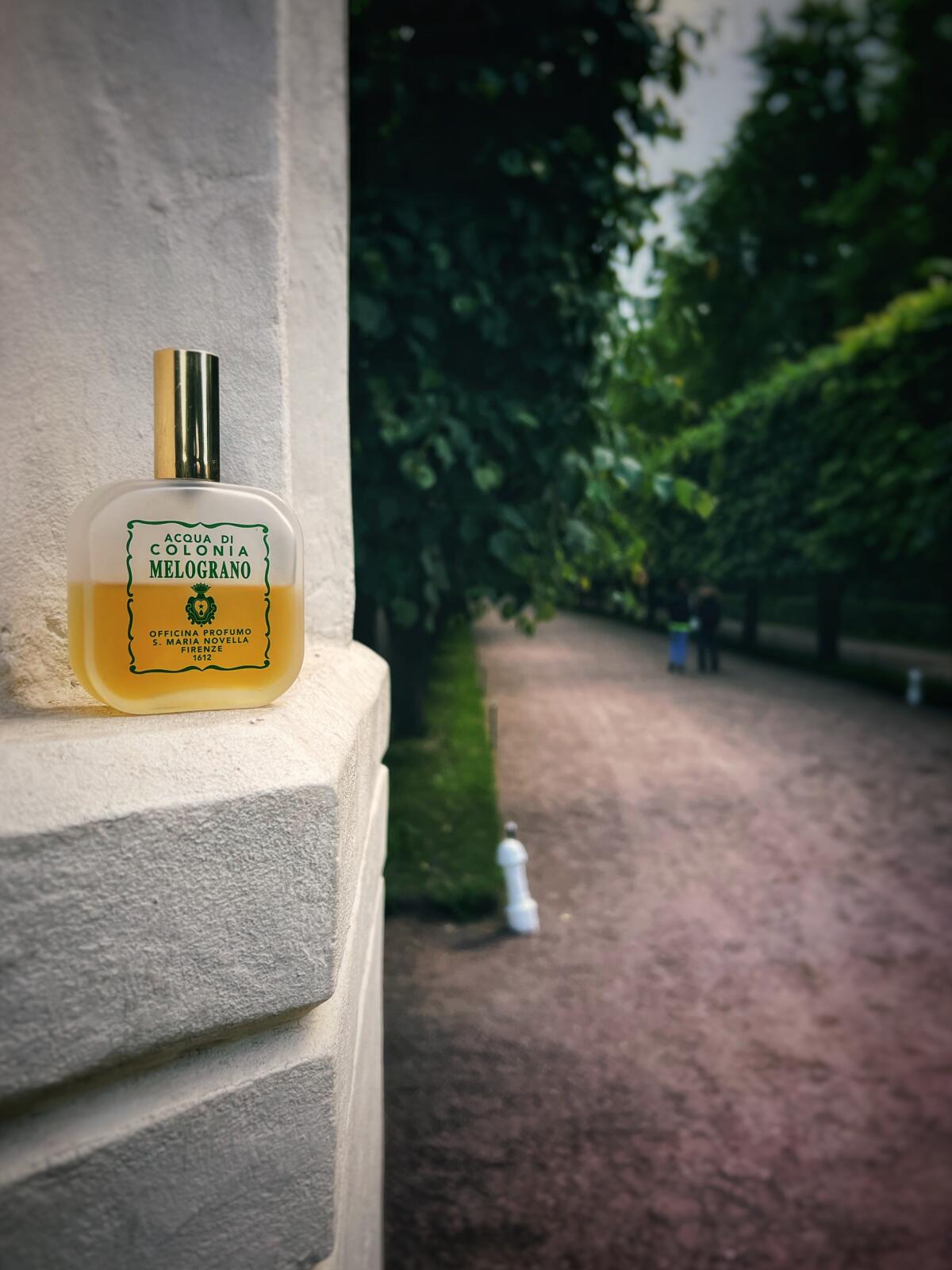 Melograno (Pomegranate) Santa Maria Novella perfume - a fragrance for ...