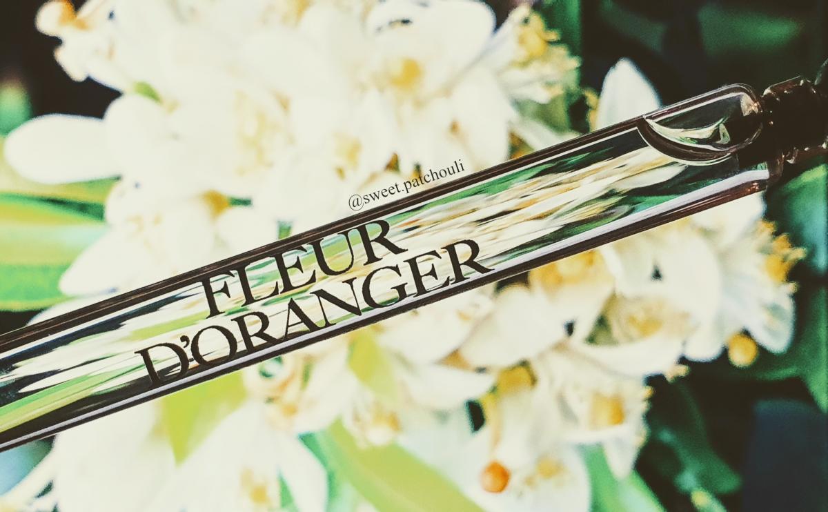 Fleur d&amp;#39;Oranger Zara perfume - a fragrance for women and men 2019