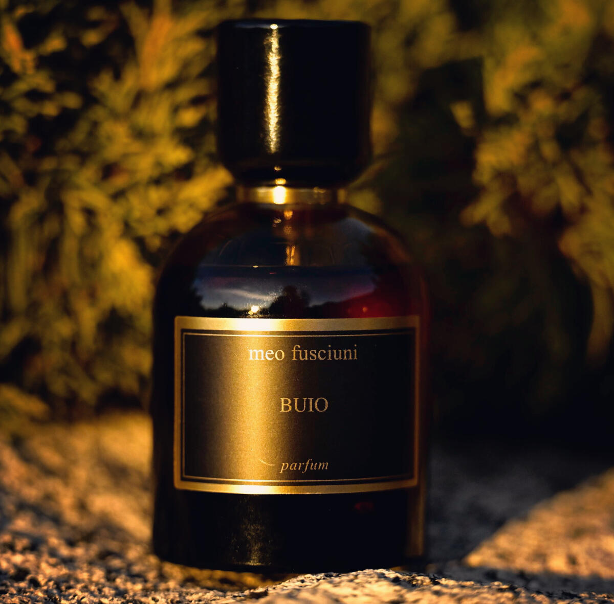 Buio Meo Fusciuni parfum - un nouveau parfum pour homme et femme 2024