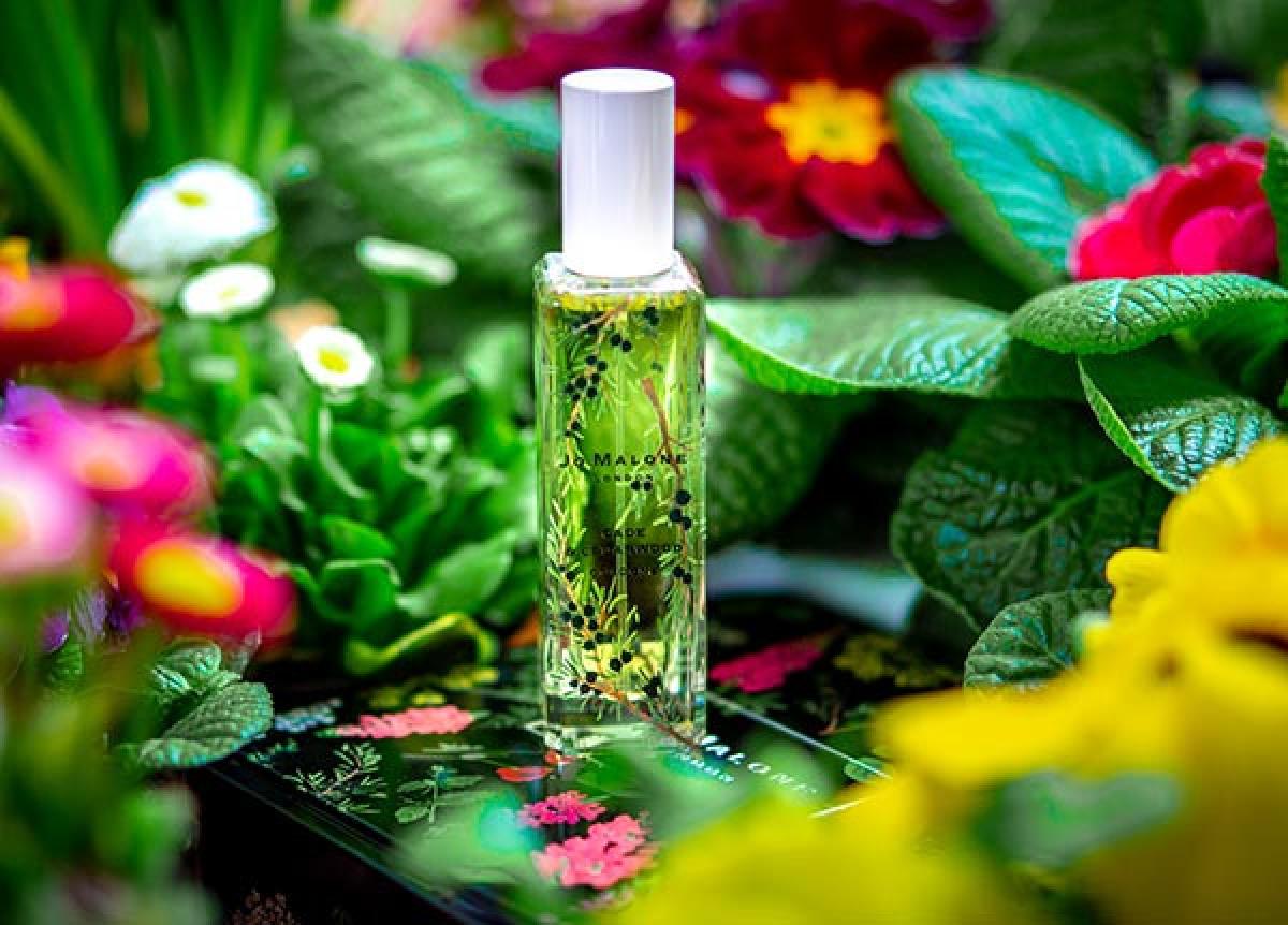 Cade & Cedarwood Jo Malone London perfume - a fragrance for women and ...