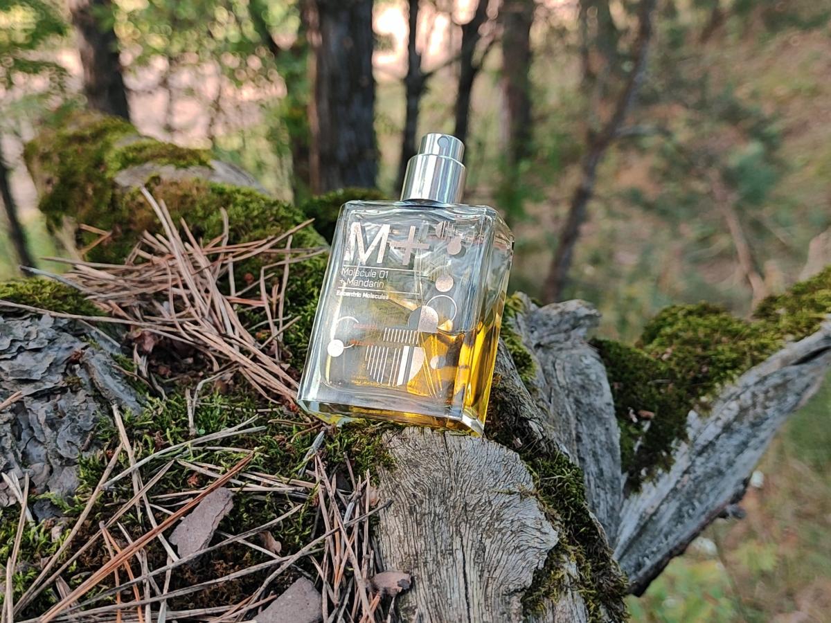 Molecule 01 + Mandarin Escentric Molecules perfume - a fragrance for ...