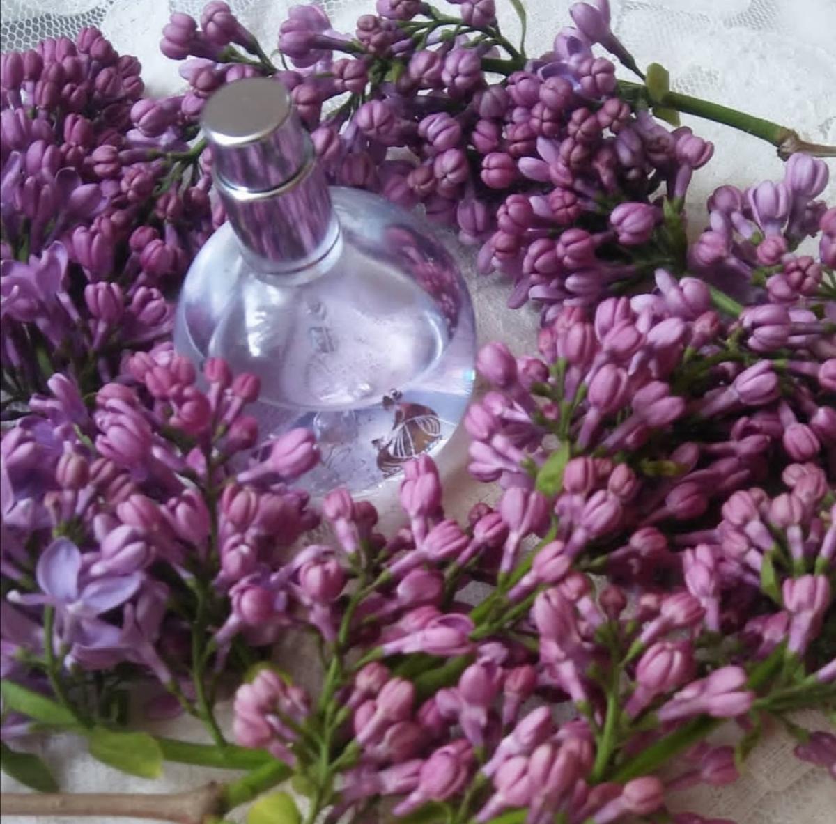 Eclat d’Arpège Lanvin perfume - a fragrance for women 2002