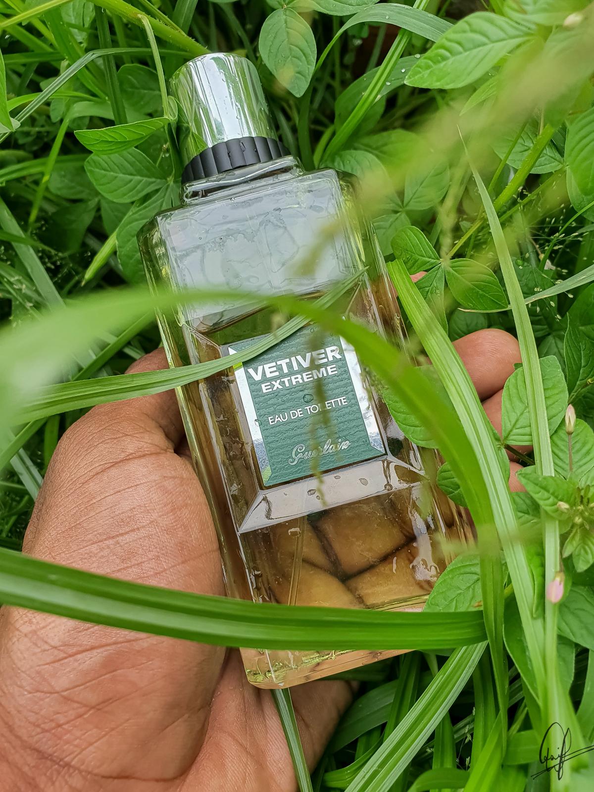 Vetiver Extreme Guerlain cologne a fragrance for men 2007