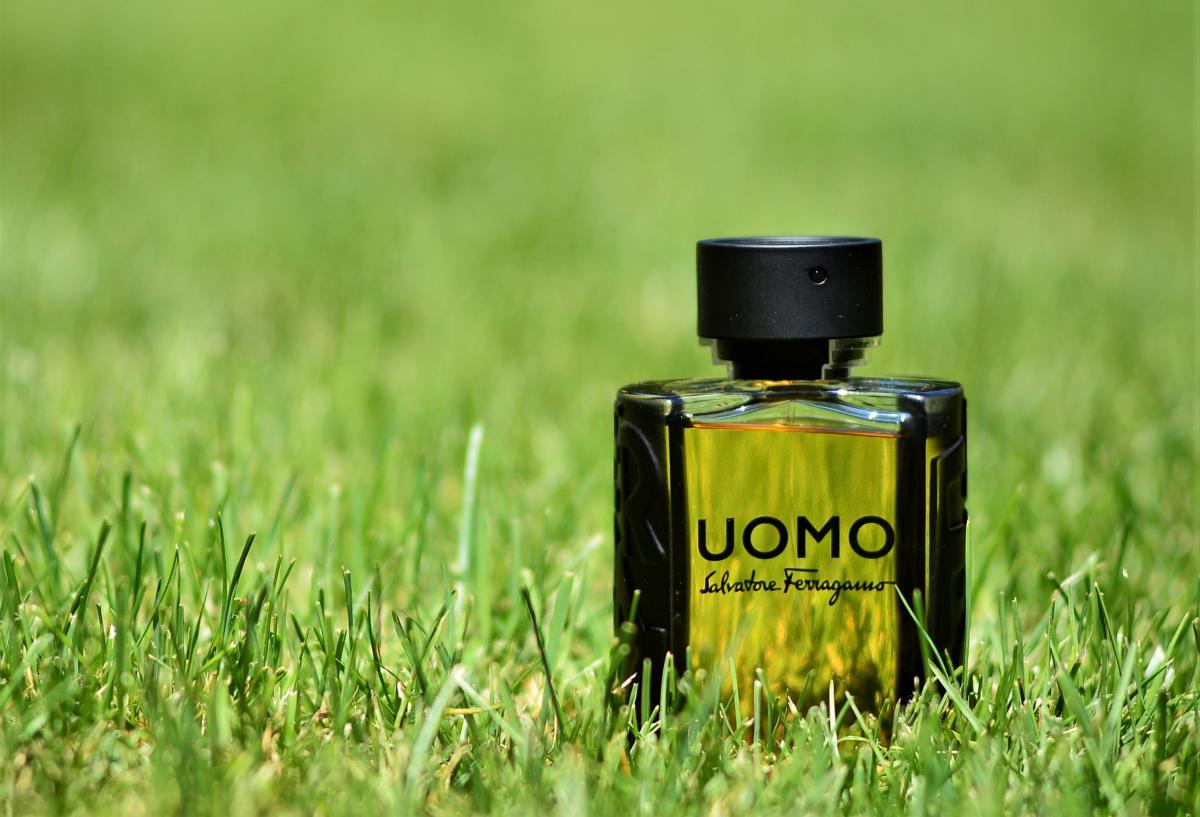 Uomo Salvatore Ferragamo Salvatore Ferragamo cologne - a fragrance for