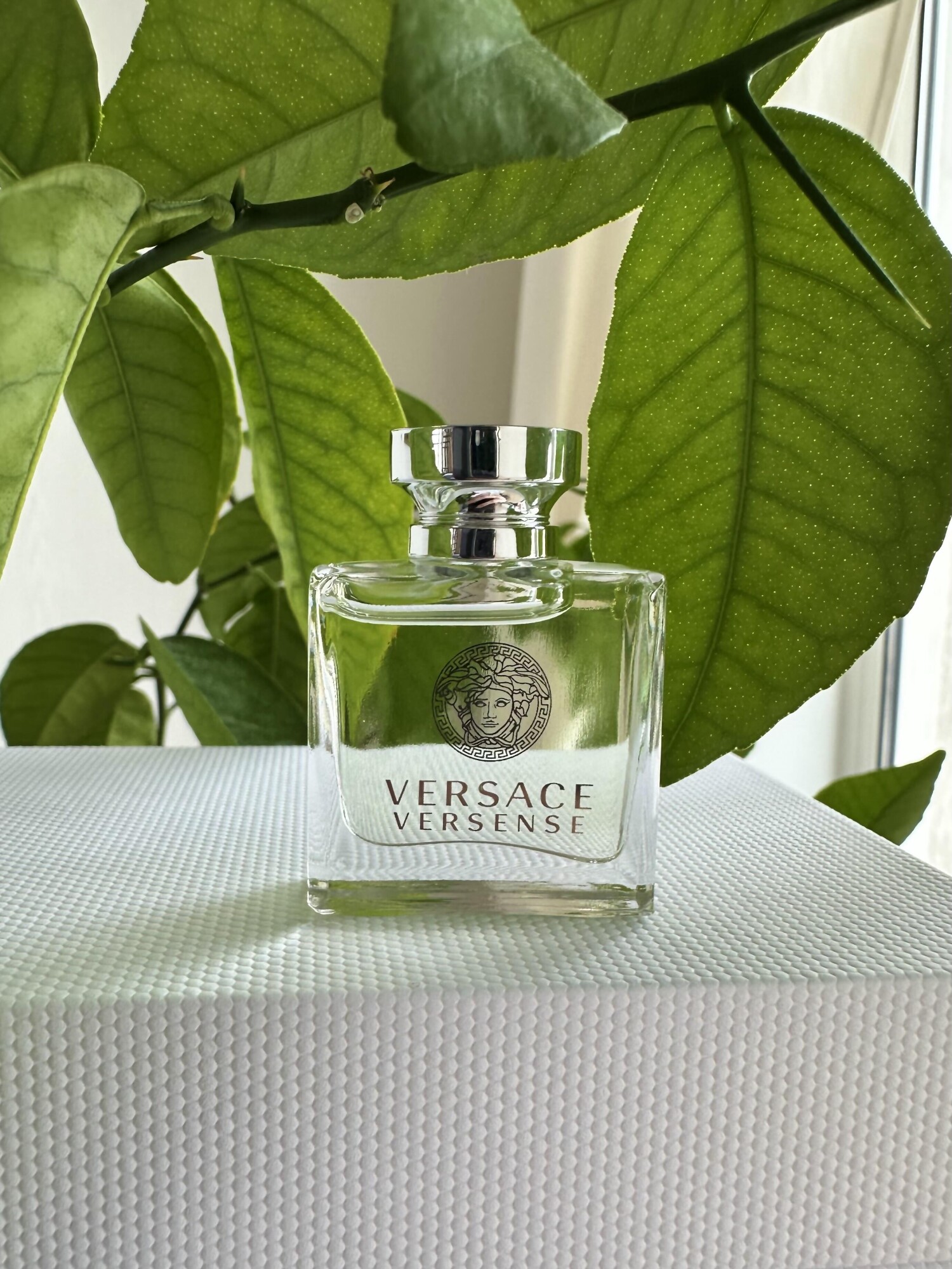 Versace Fresh Notes Versense Versace perfume - a fragrance for women 2009