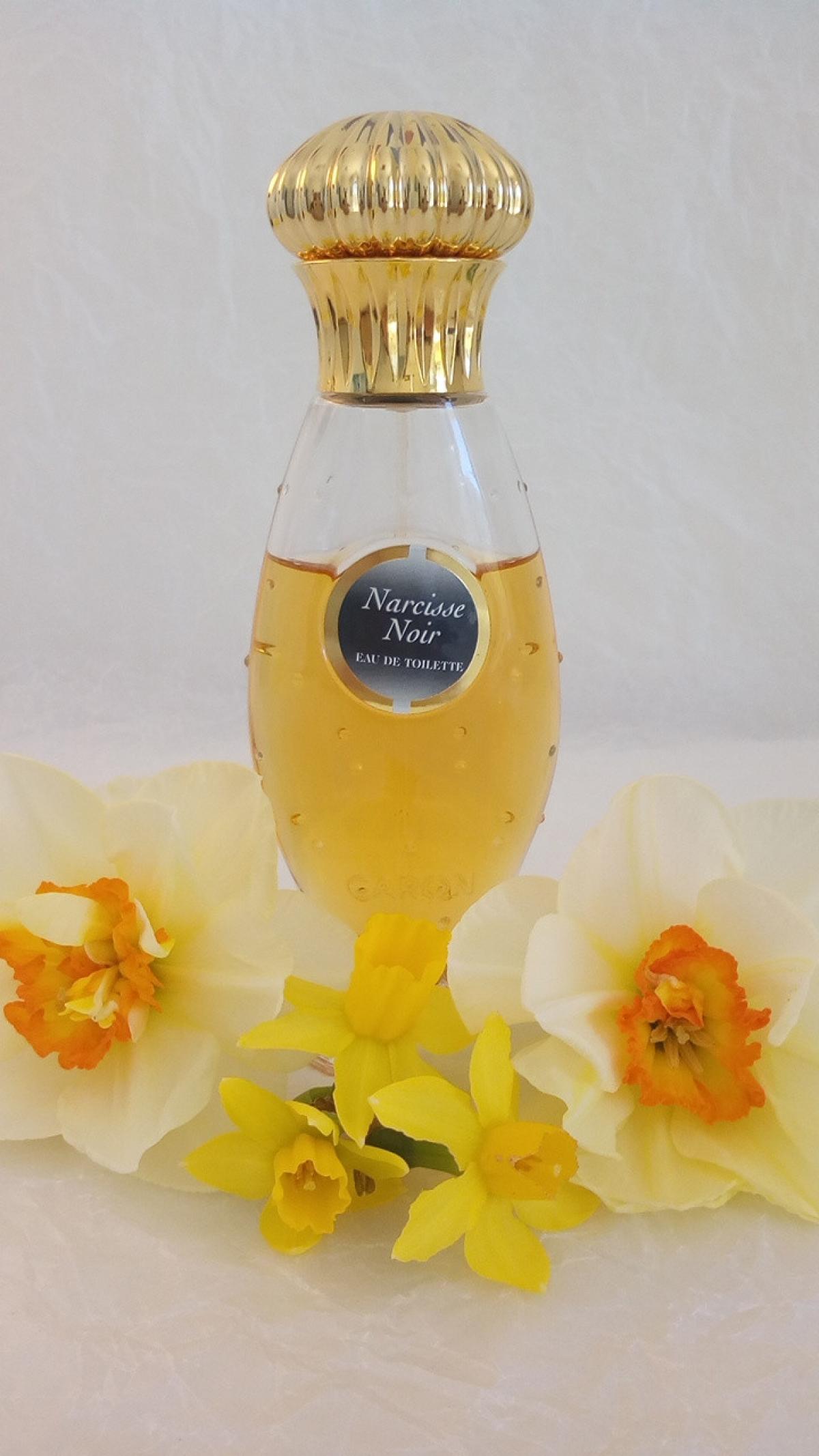 Narcisse Noir (1911) Caron parfum - un parfum pour femme 1911