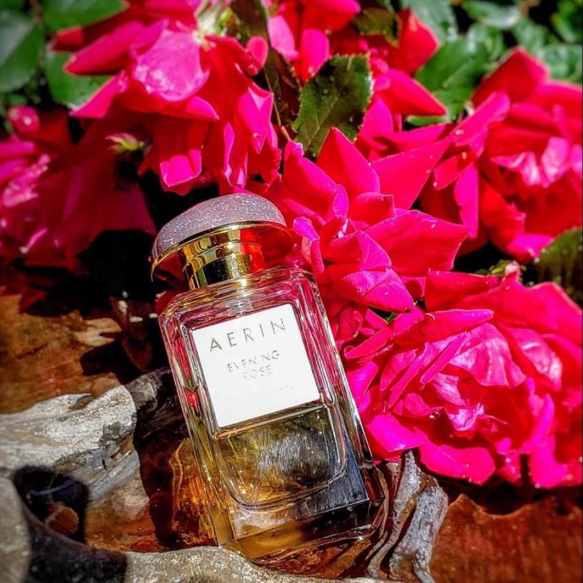 Evening Rose Aerin Lauder perfume a fragrance for women 2013