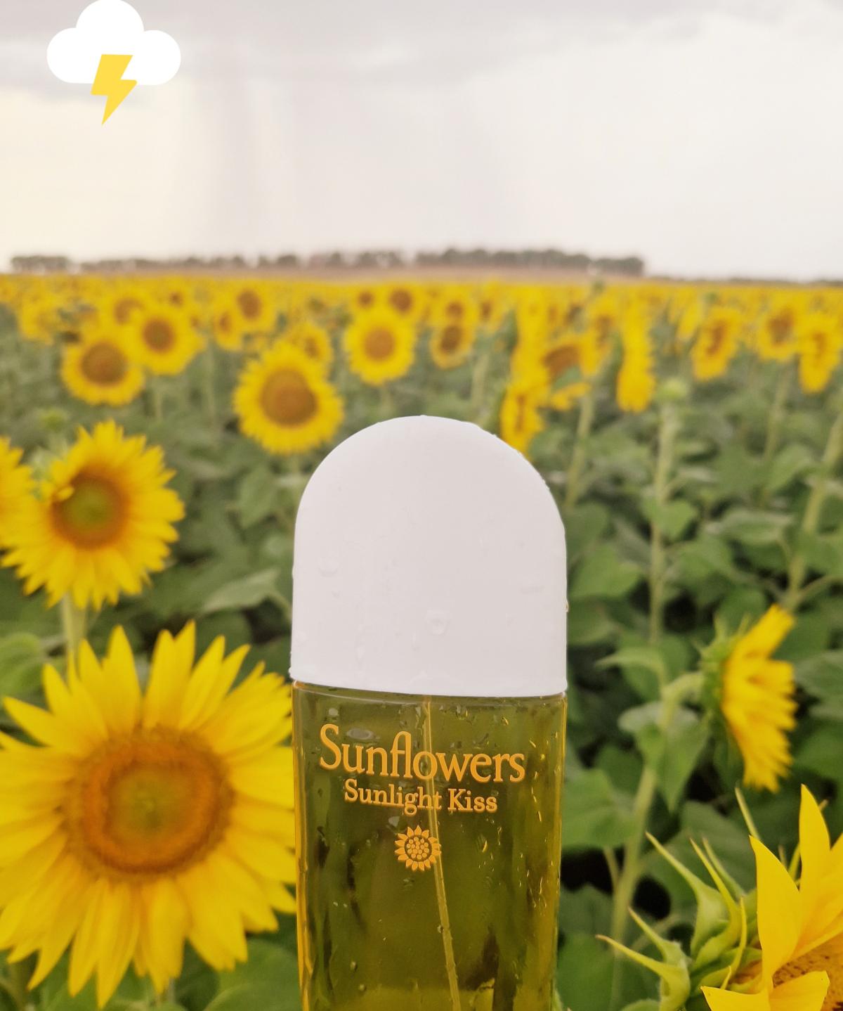 Sunflowers Sunlight Kiss Elizabeth Arden perfume a fragrance for women 2017