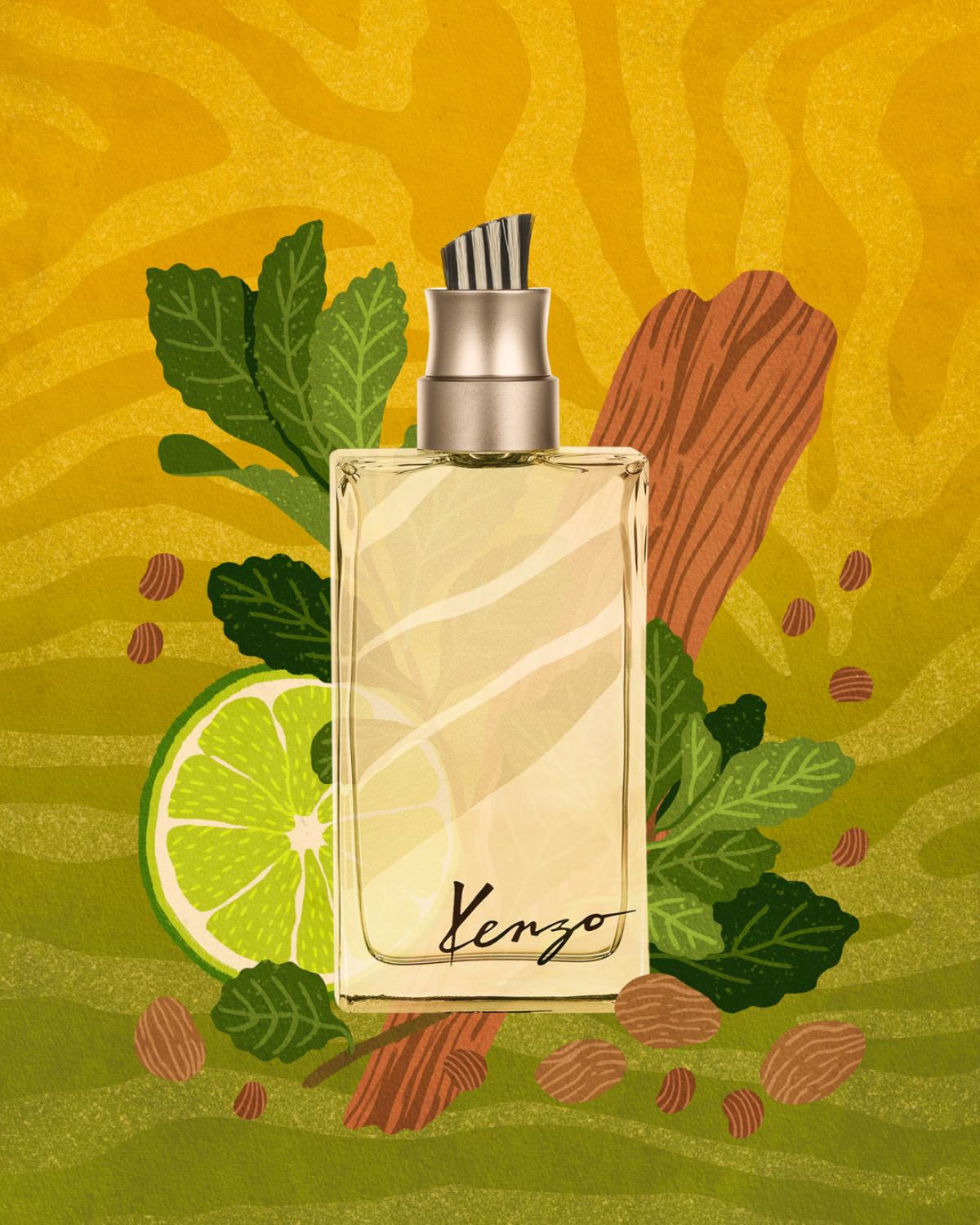 Kenzo Jungle Homme Kenzo cologne - a fragrance for men 1998