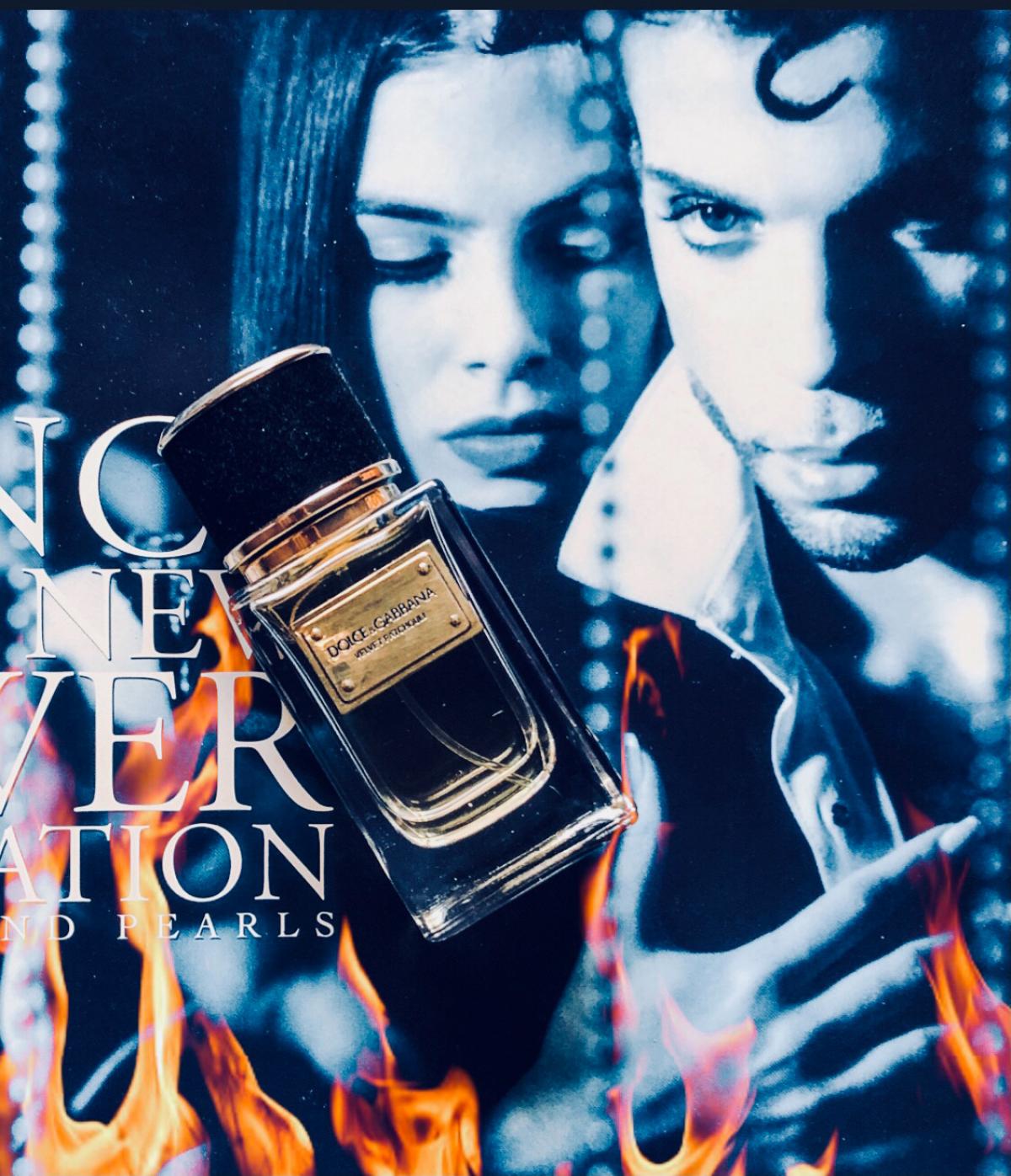 Velvet Patchouli Dolce&Gabbana perfume a fragrance for women and men 2011