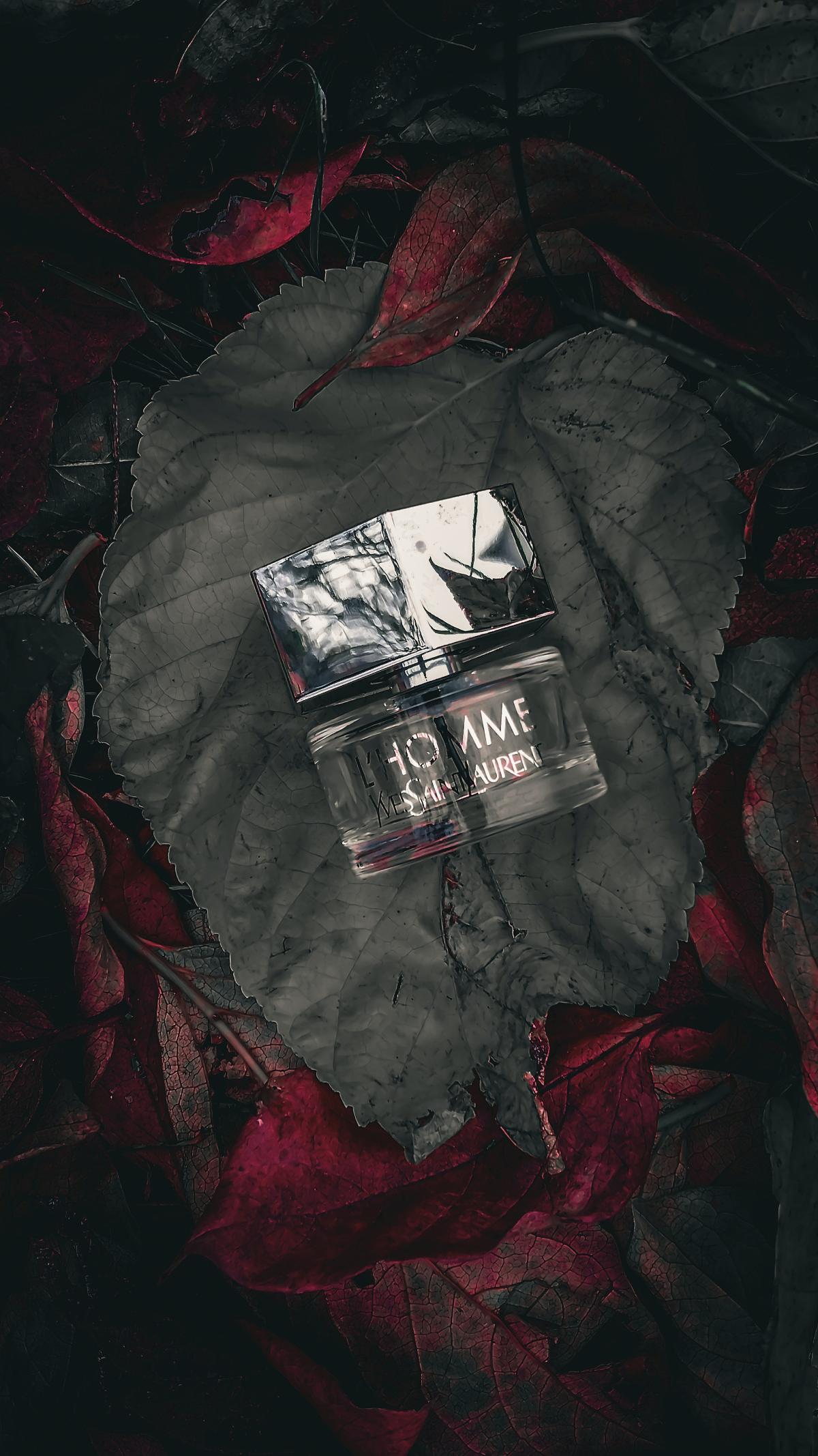 L'Homme Yves Saint Laurent cologne - a fragrance for men 2006