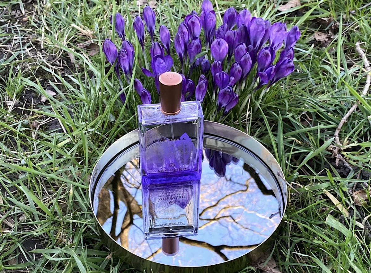 Thé Basilic Molinard perfume - a fragrance for women and men 2019