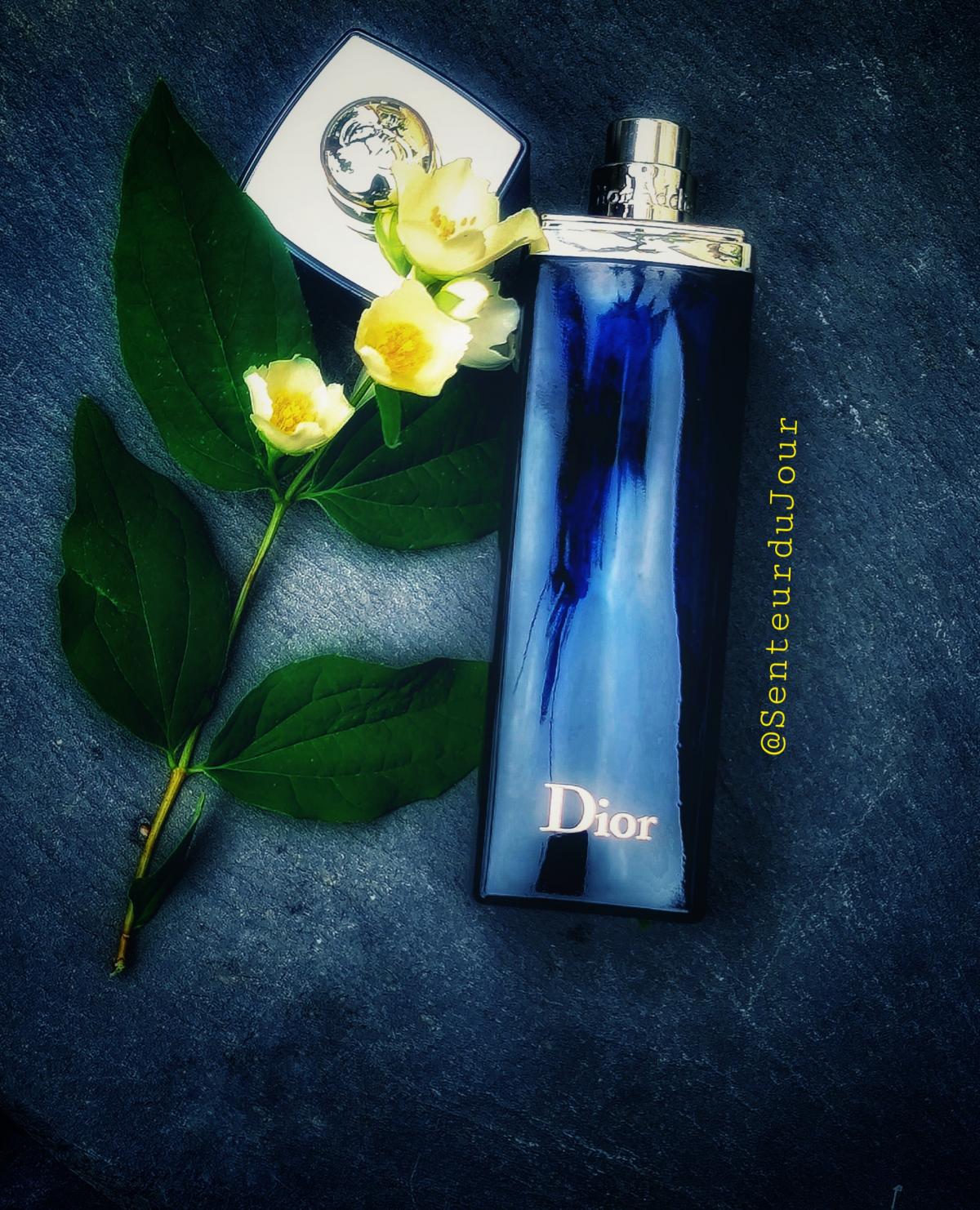 Parfum addict. Addict Dior Parfum. Диор аддикт синий. Dior Addict EDP 2014. Dior Addict синие.