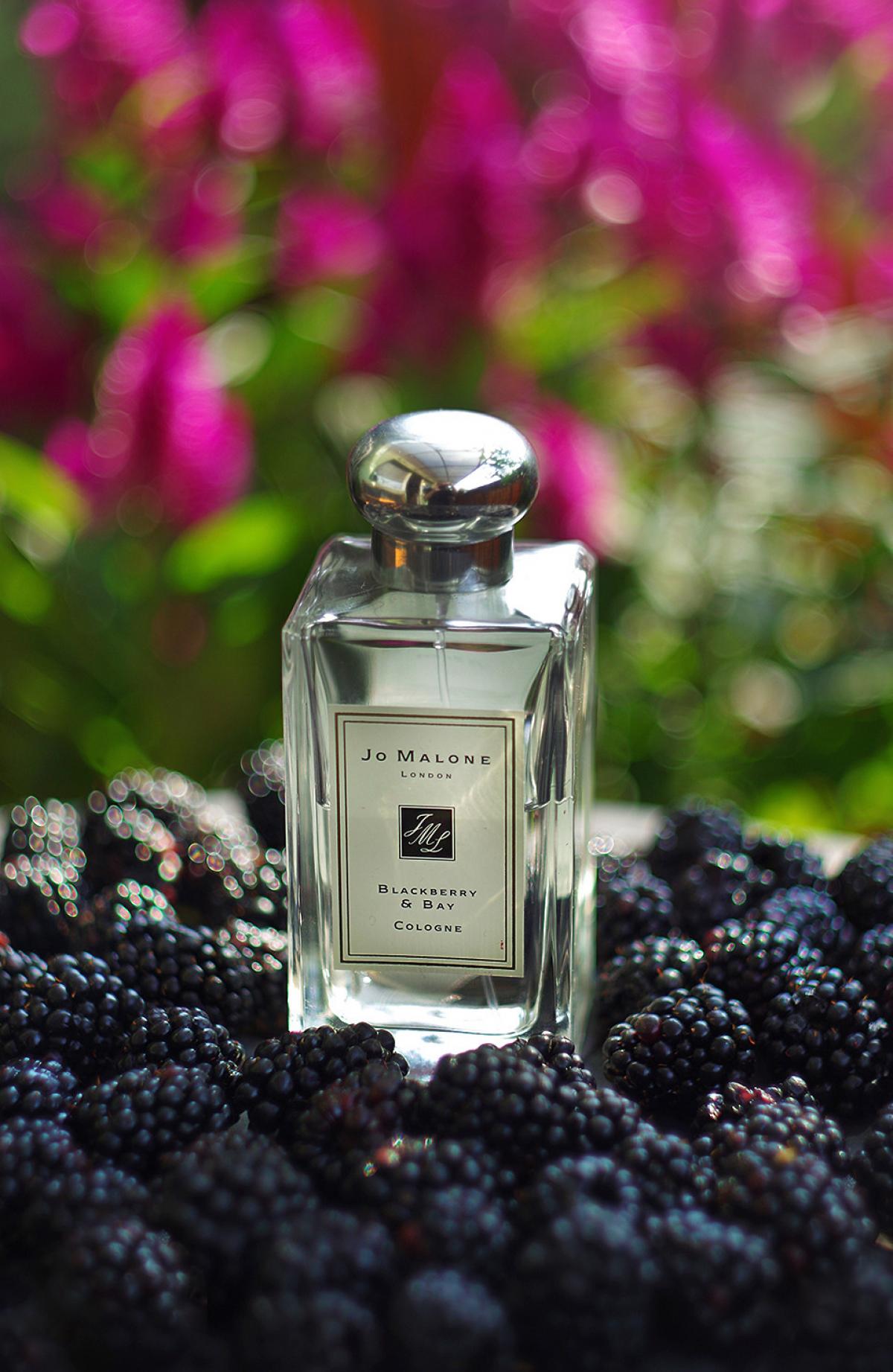 Blackberry & Bay Jo Malone London perfume - a fragrance for women 2012