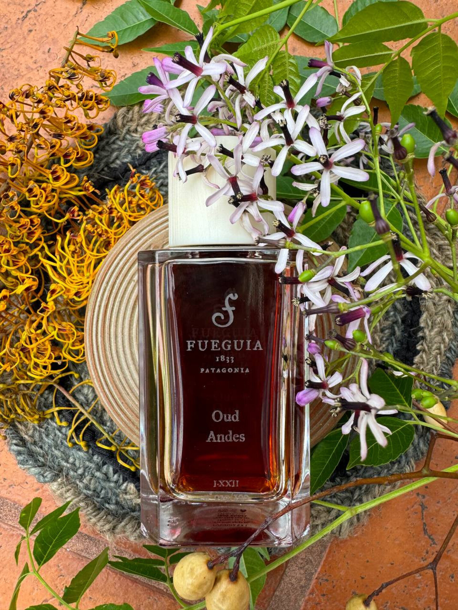 Oud Andes Fueguia 1833 perfume - a fragrance for women and men 2022