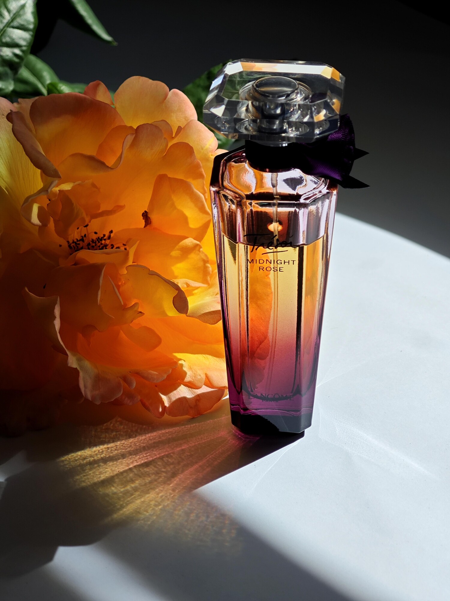 Trésor Midnight Rose Lancôme perfume - a fragrance for women 2011