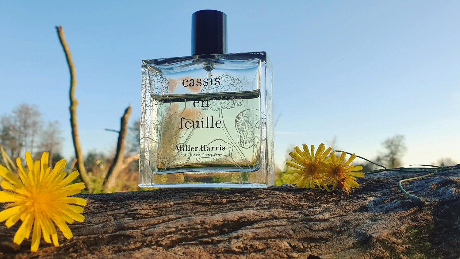 Cassis en Feuille Miller Harris аромат аромат для жінок 2015 — free download