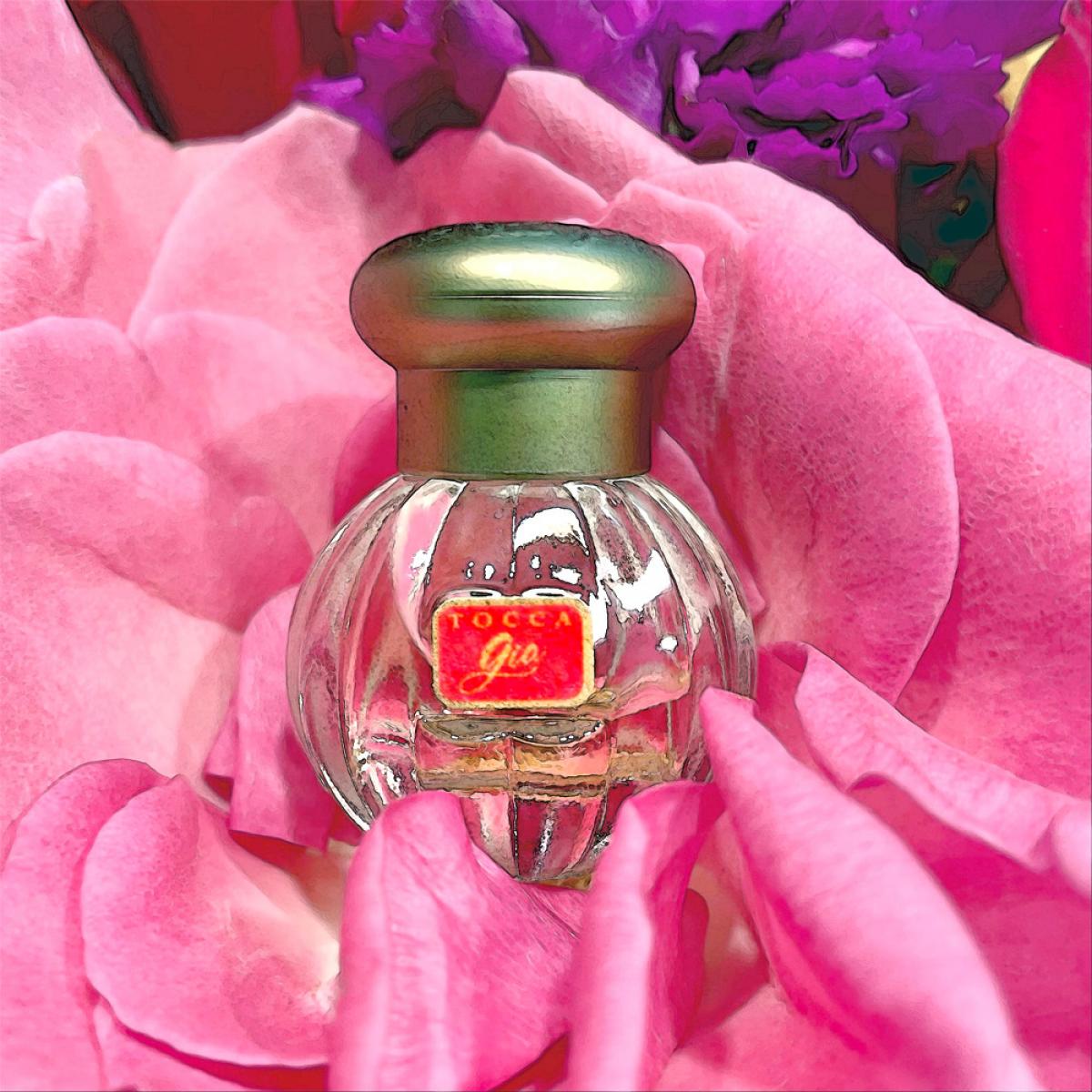 Gia Tocca perfume - a new fragrance for women 2019