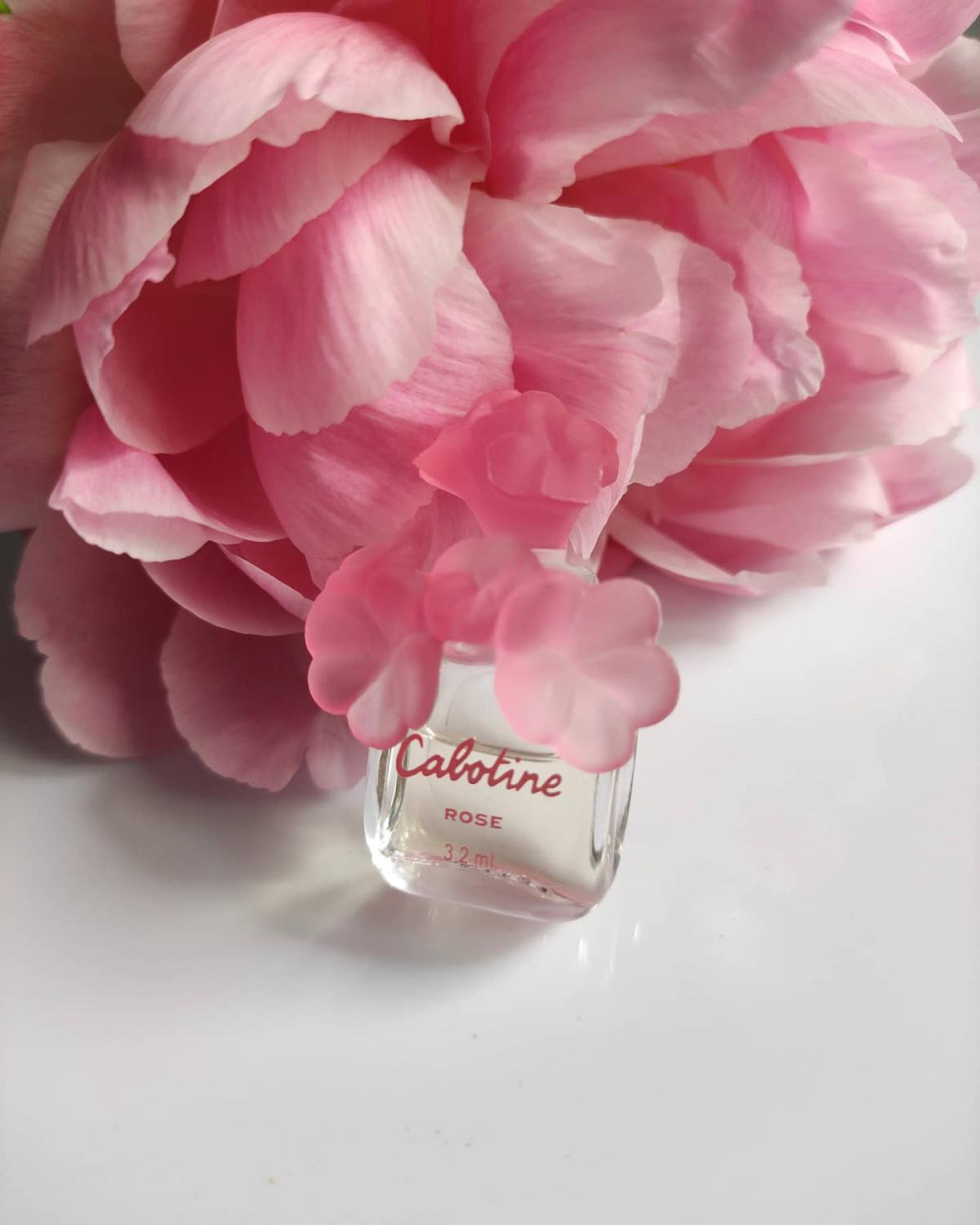Cabotine Rose Grès perfume - a fragrance for women 2003
