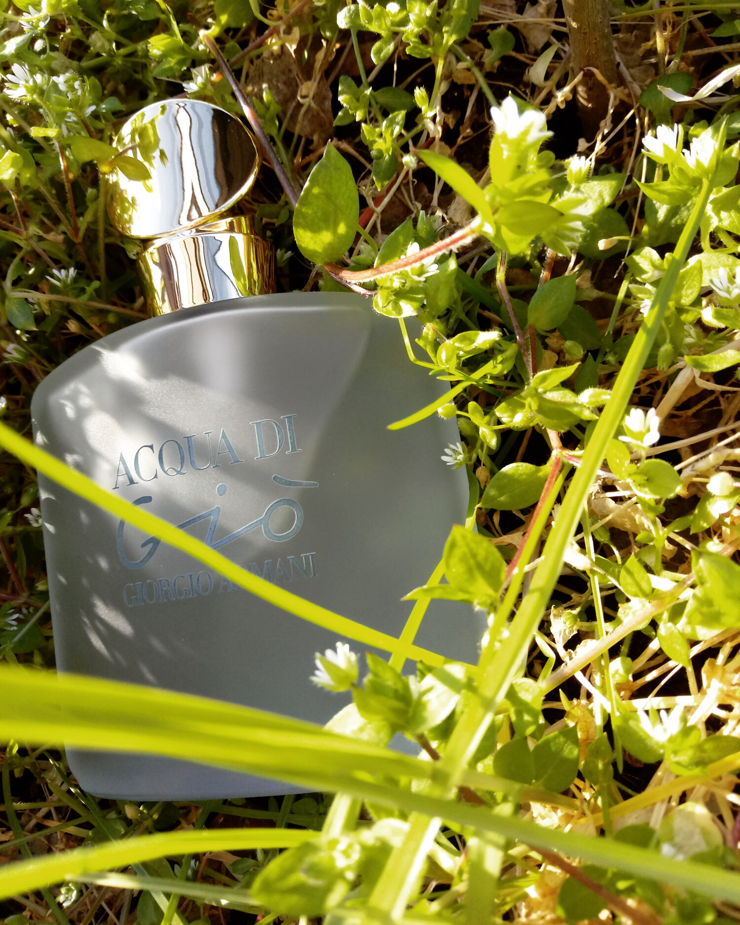 Acqua di Gio Armani perfume a fragrance for women 1995