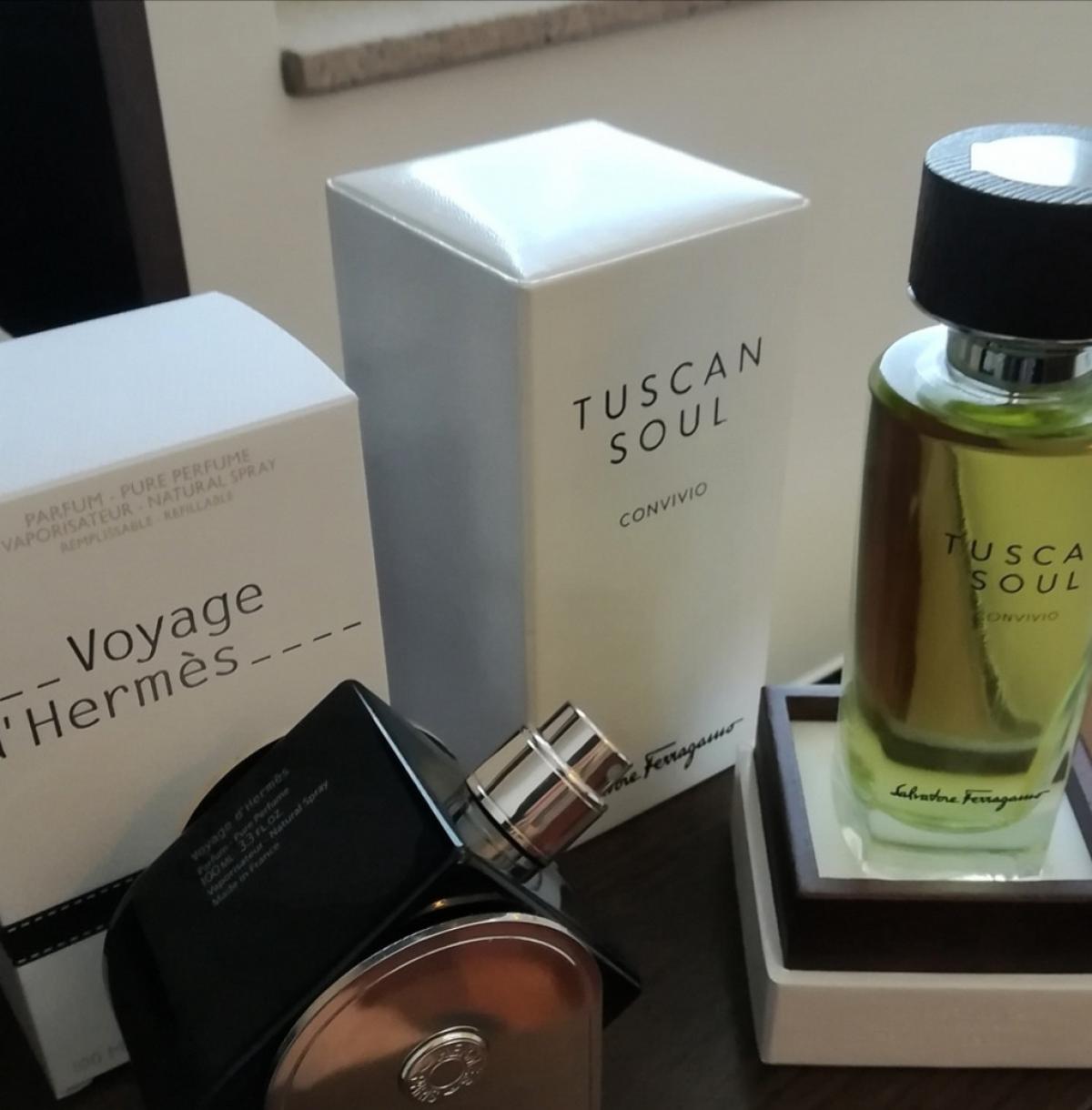 voyage d'hermes parfum fragrantica