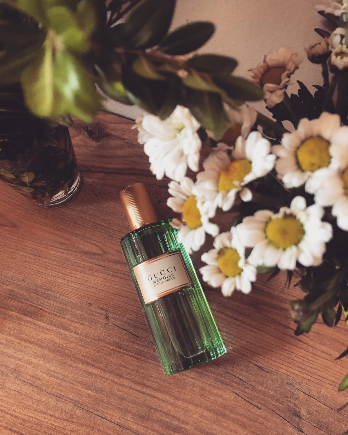 gucci memoire d une odeur opiniones