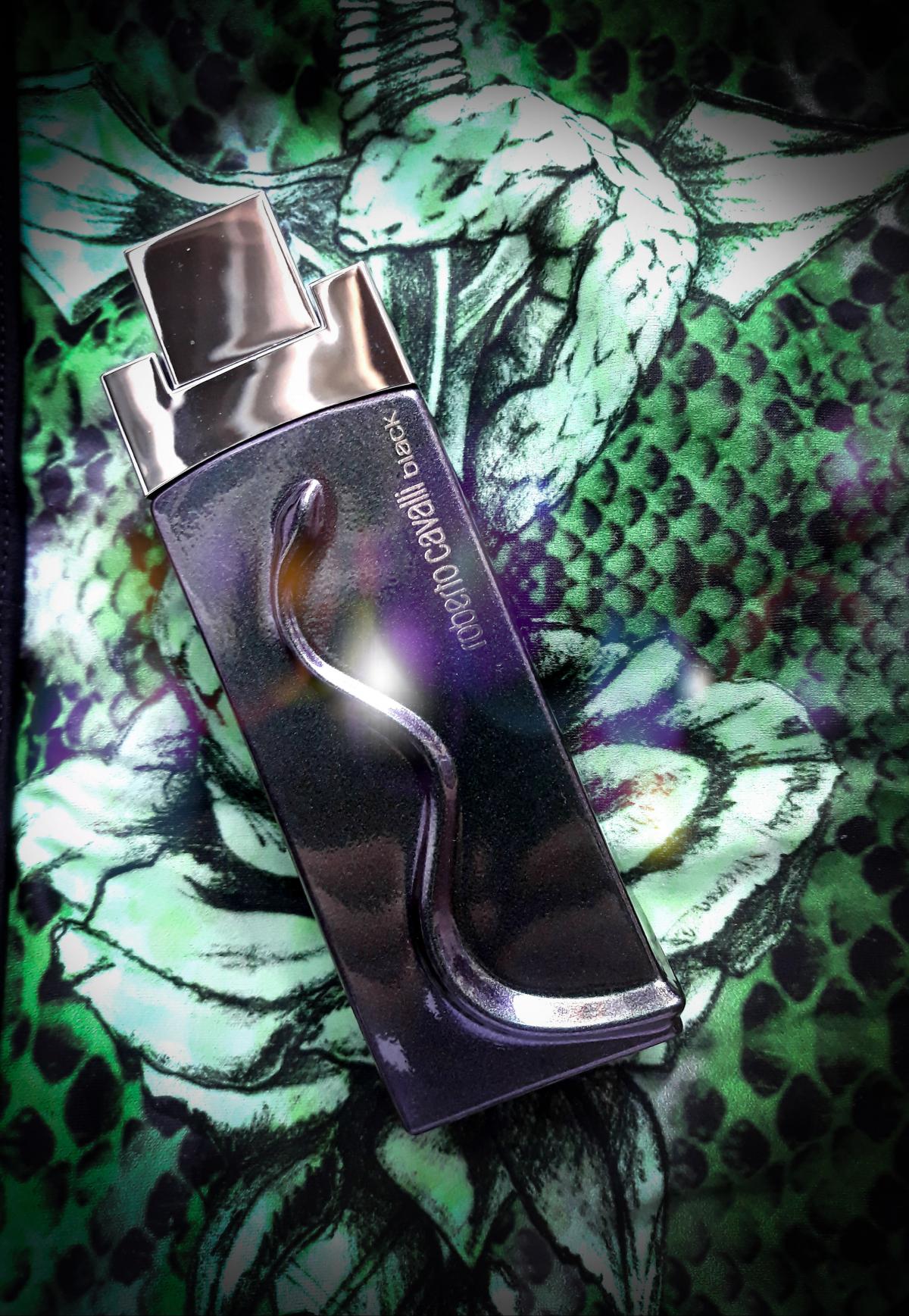 Roberto Cavalli Black Roberto Cavalli cologne - een geur voor heren 2006