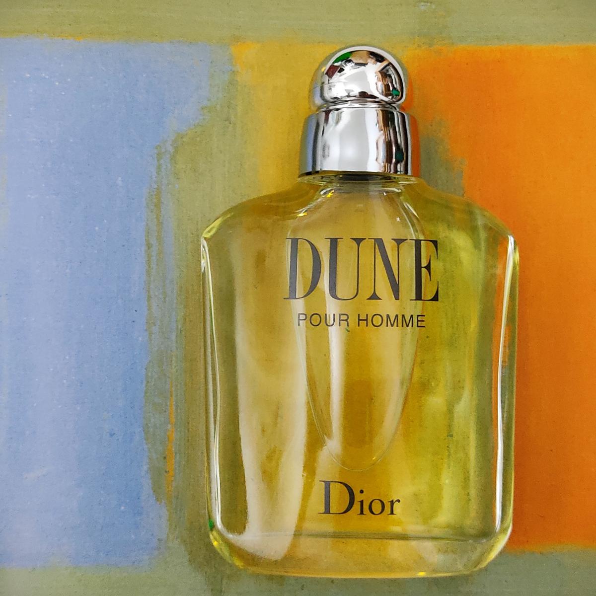 Dune Pour Homme Dior Cologne - A Fragrance For Men 1997