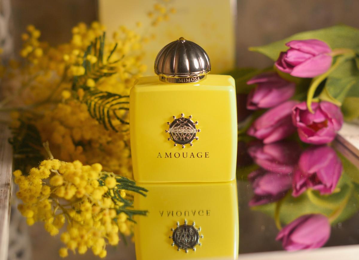 Love Mimosa Amouage parfum - un nouveau parfum pour femme 2019